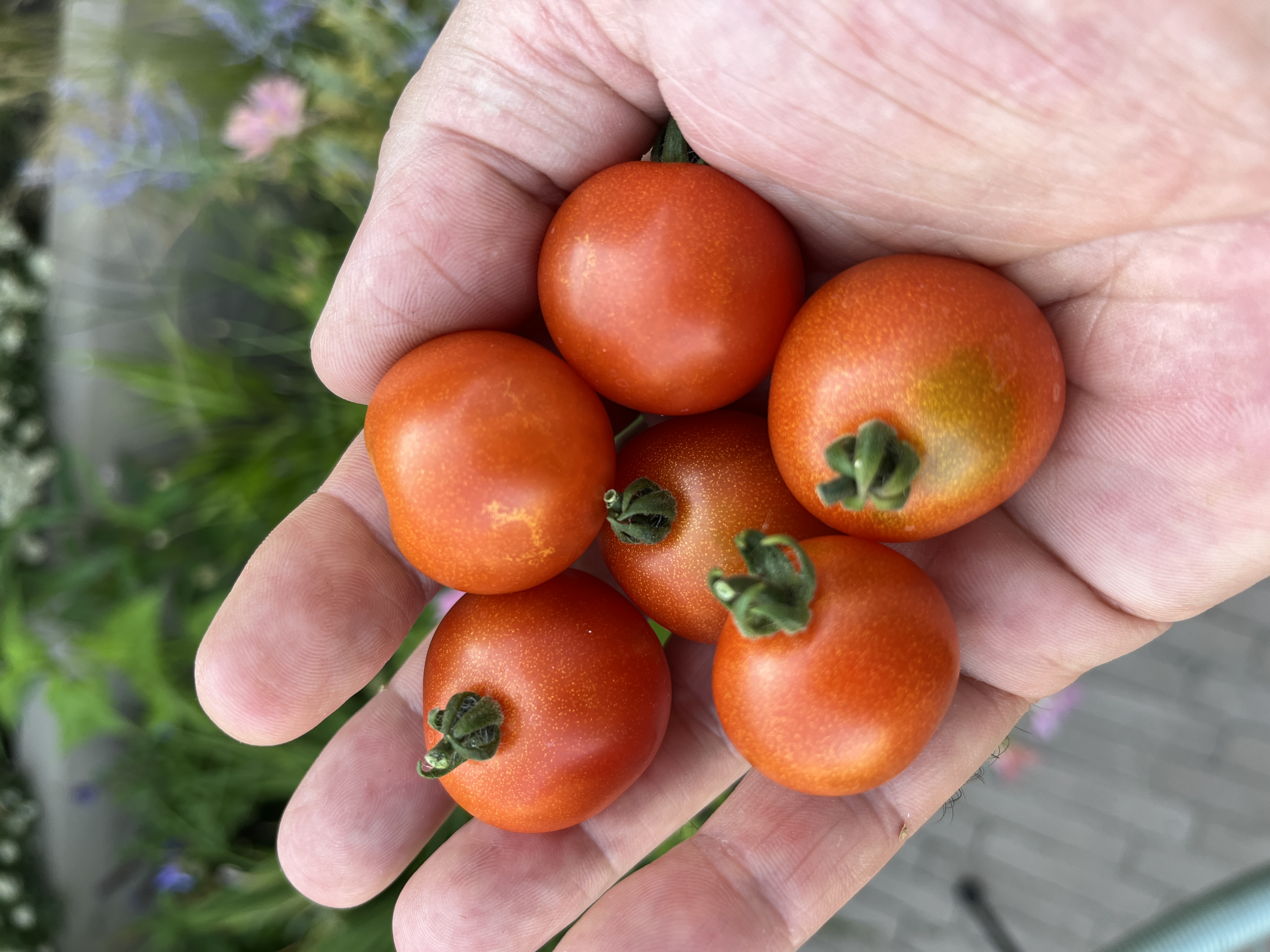 Balcony Red