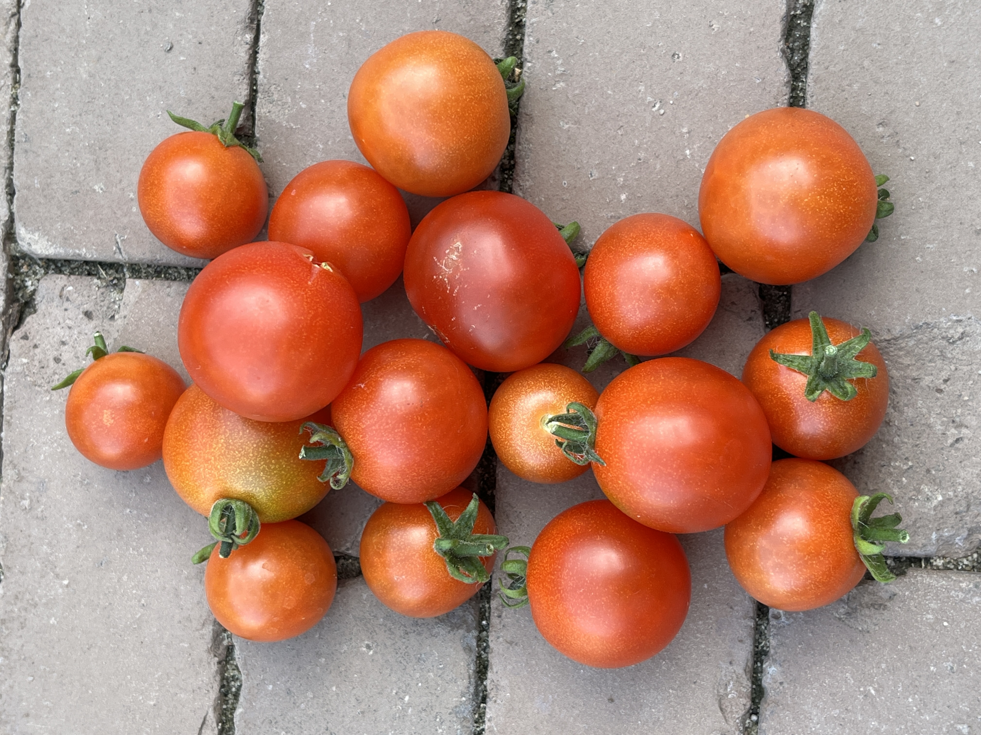 Balcony Red