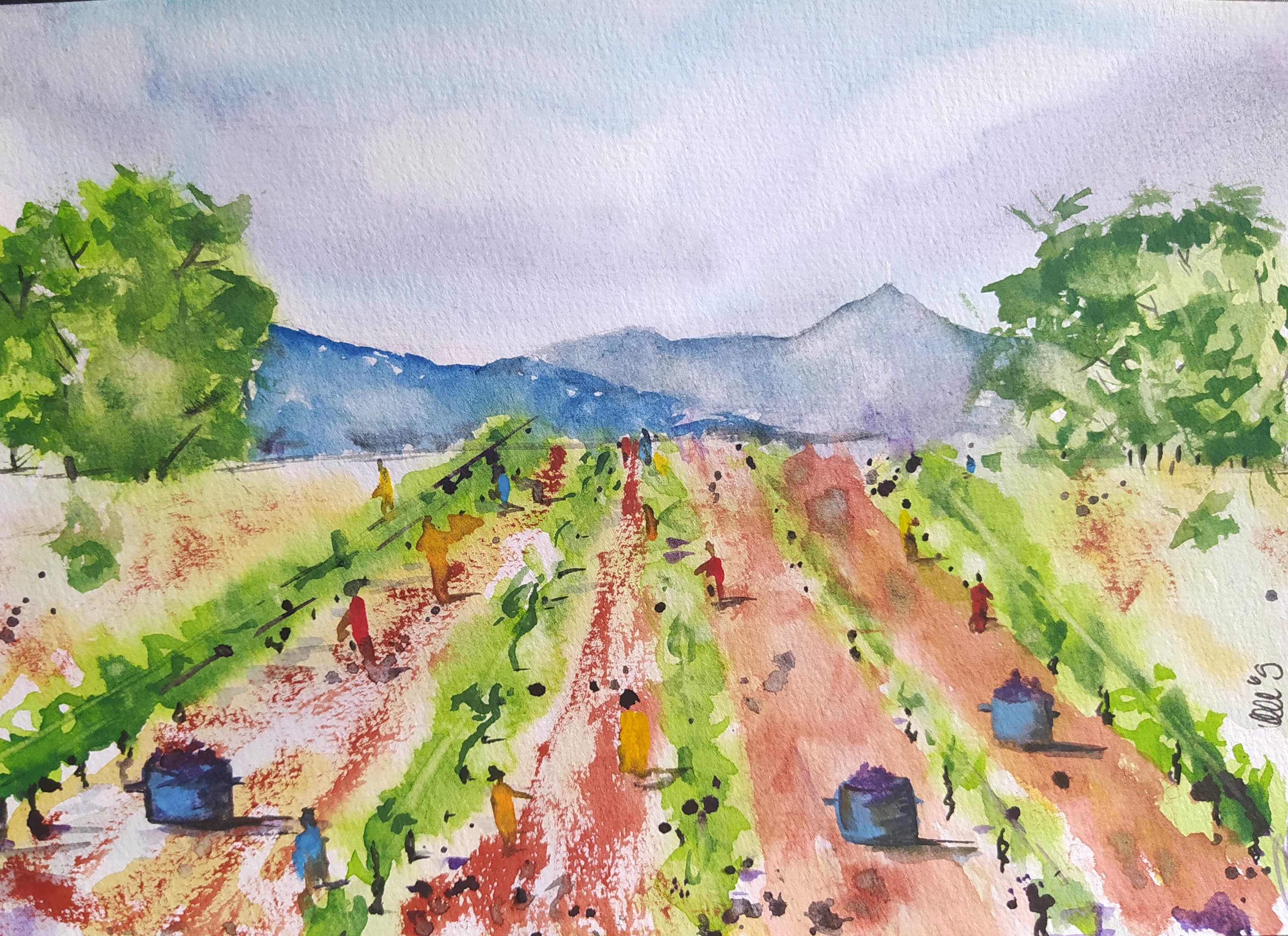 Vendanges