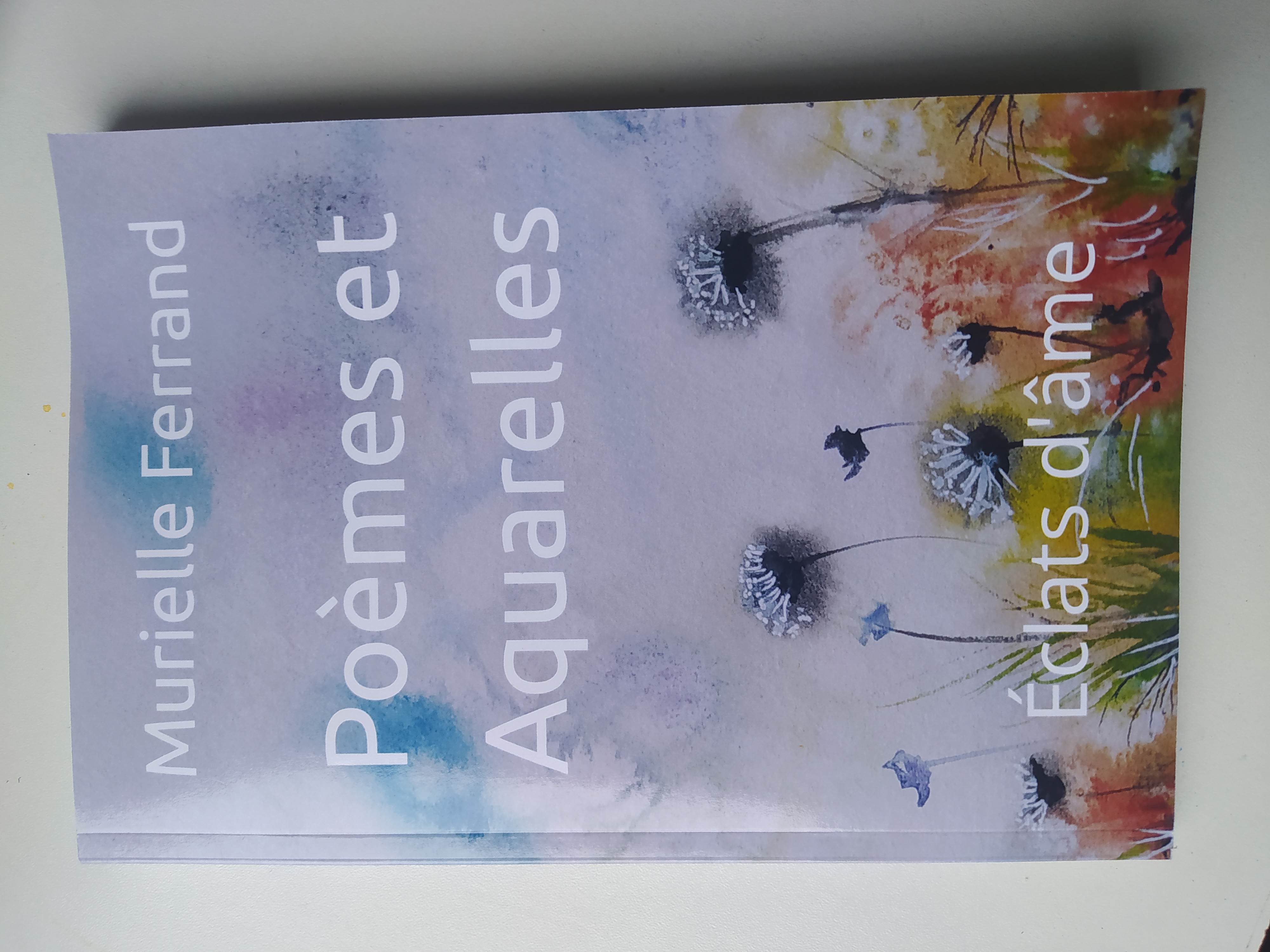 Poèmes et Aquarelles, Éclats d'âme