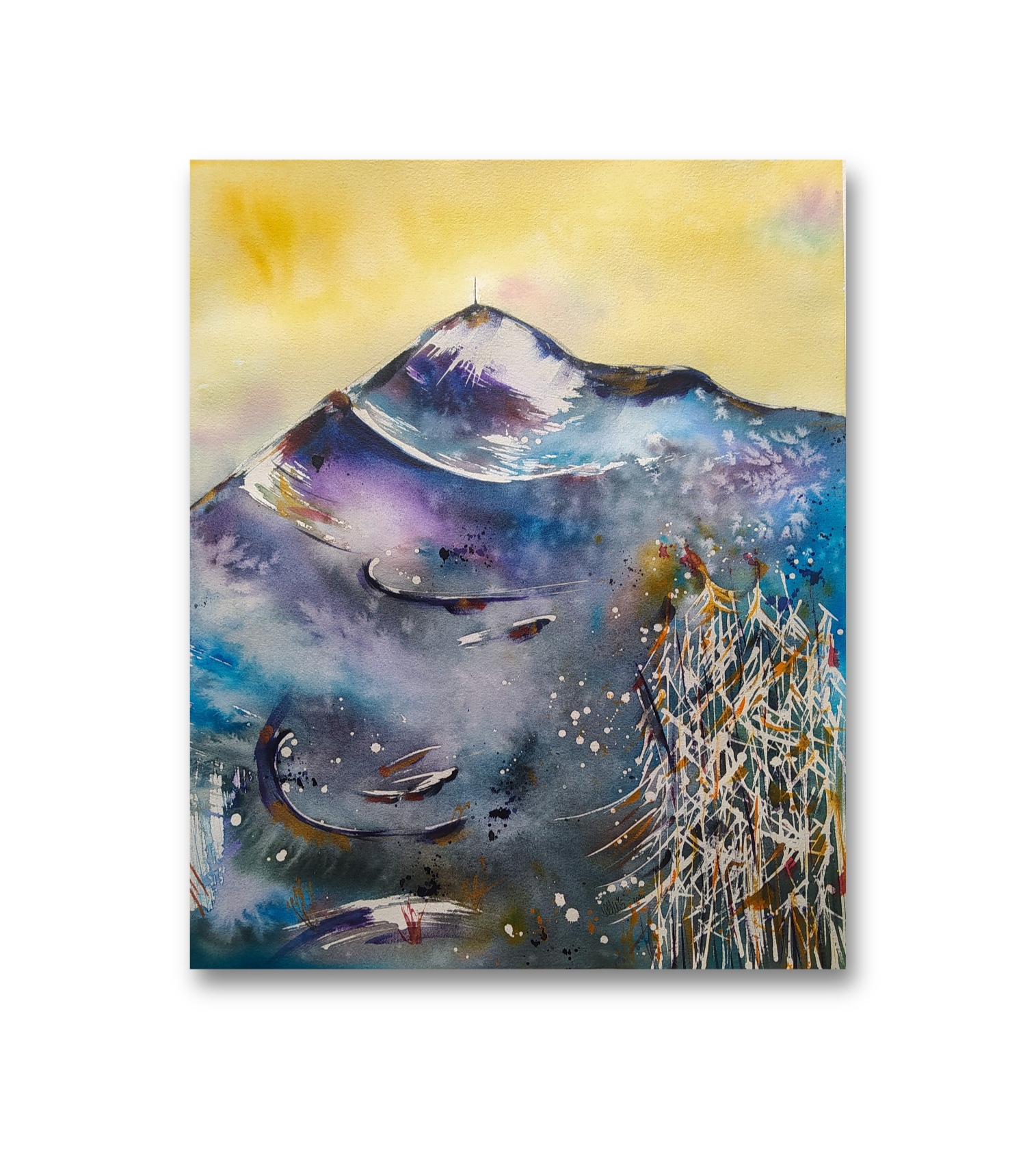 Ce que disent les roches