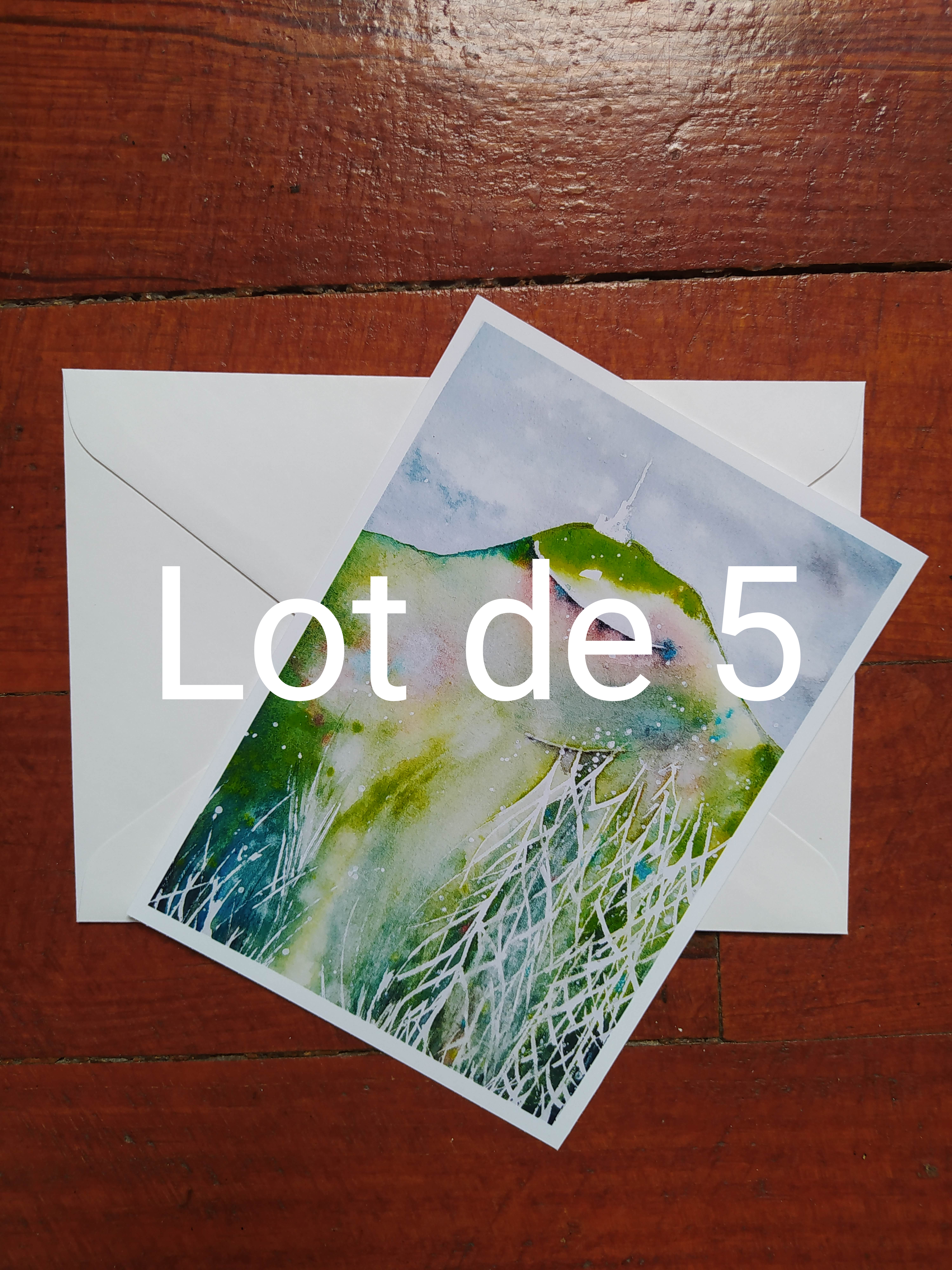Lot de 5 Cartes avec enveloppe