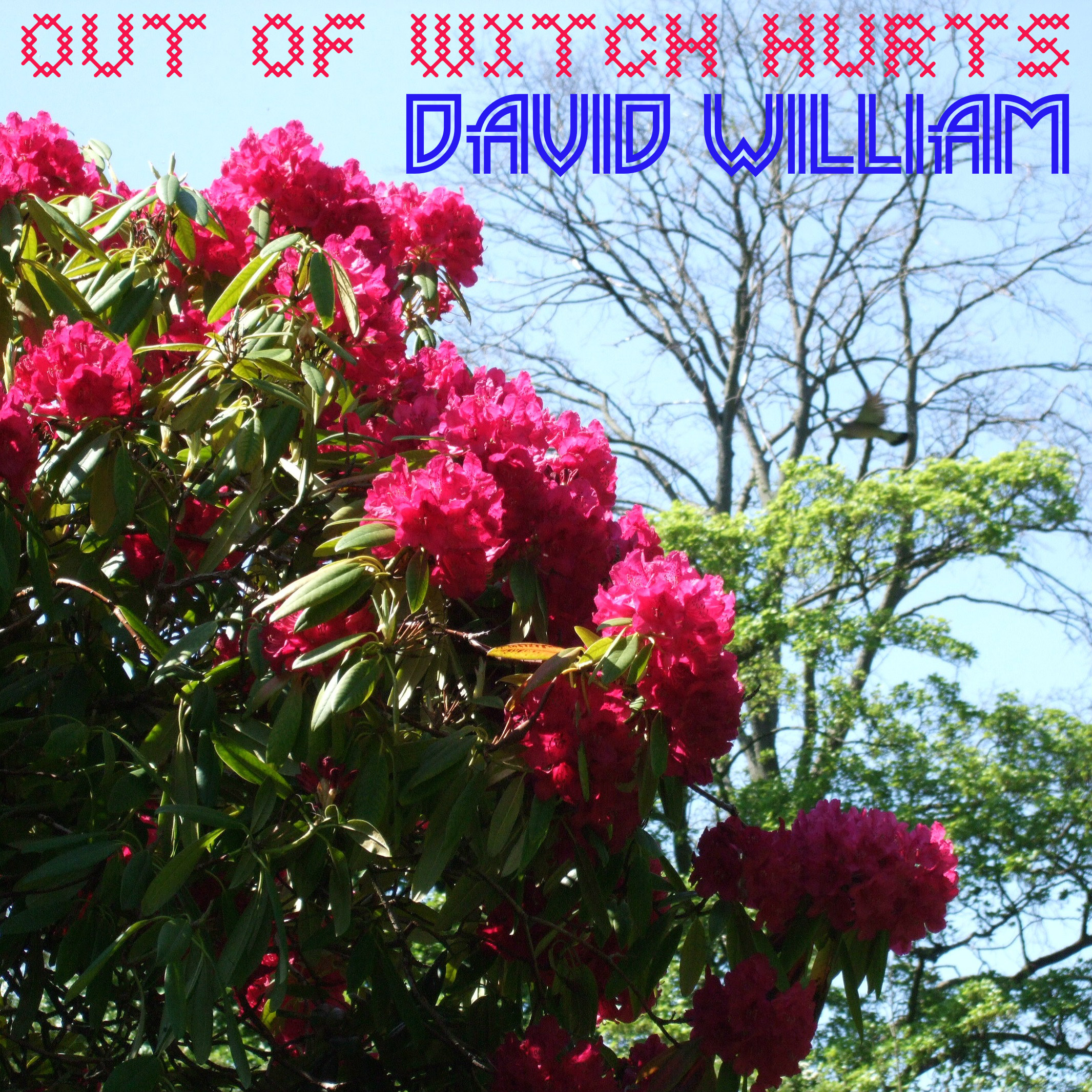 David William - Out Of Witch Hurts