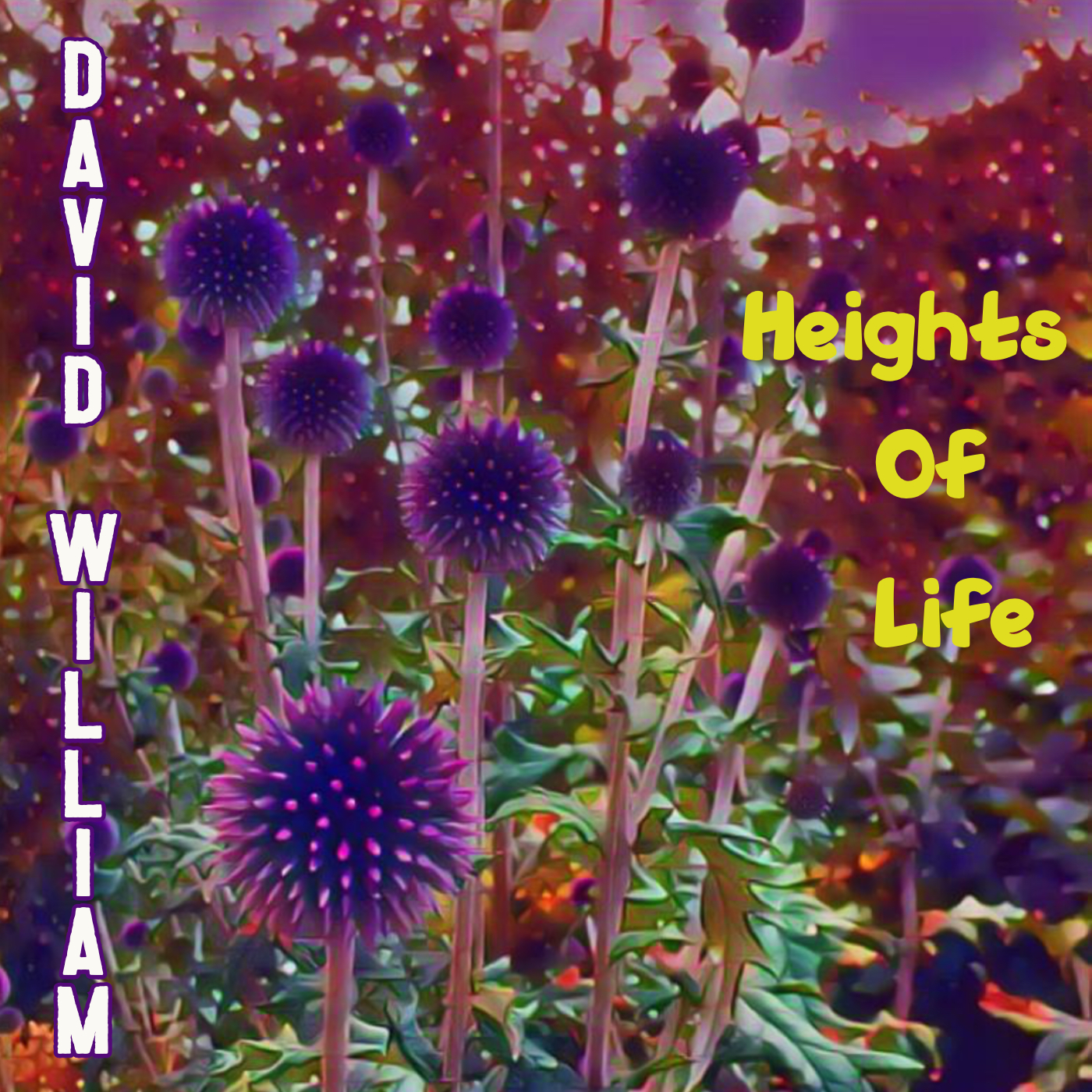 David William - Heights Of Life