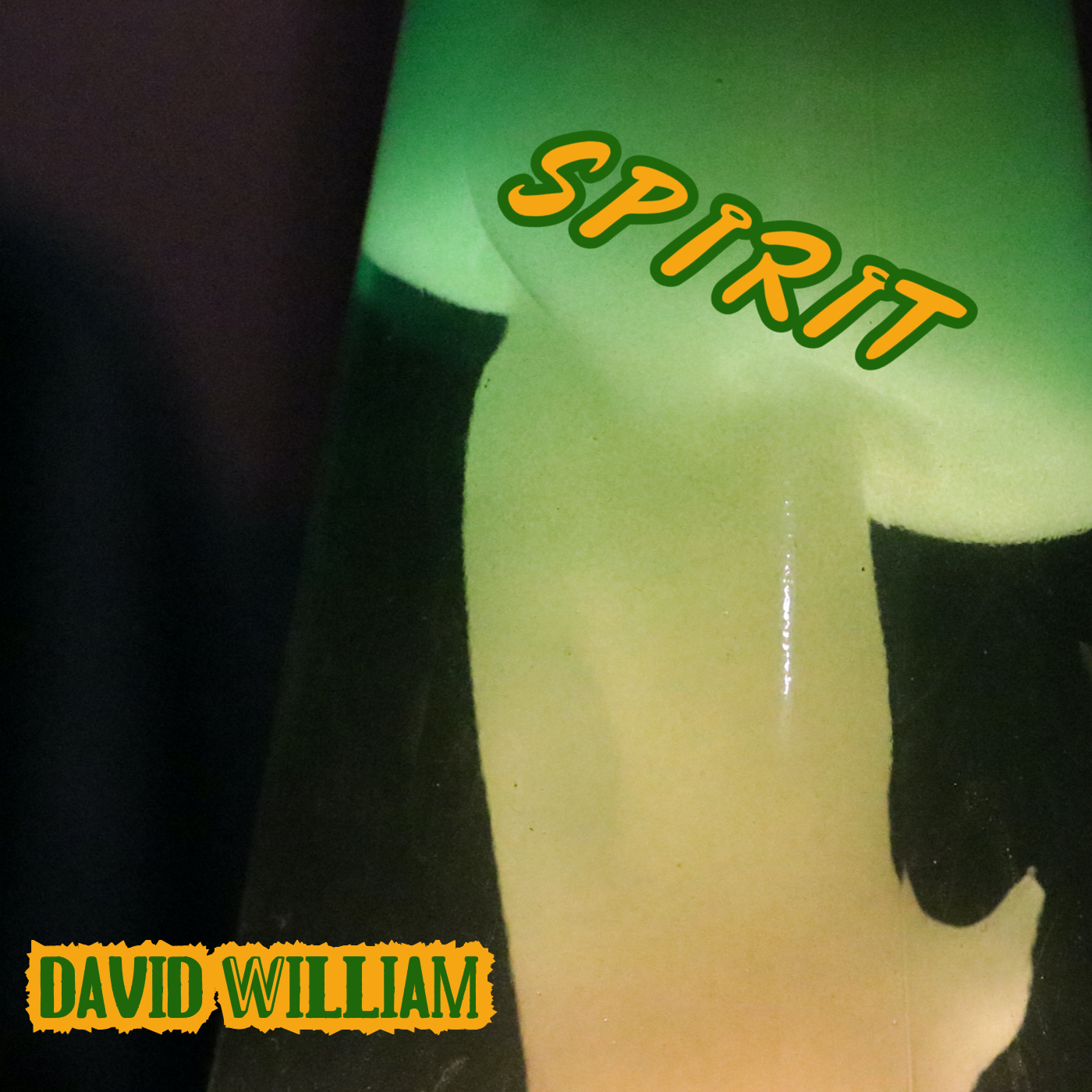David William - Spirit