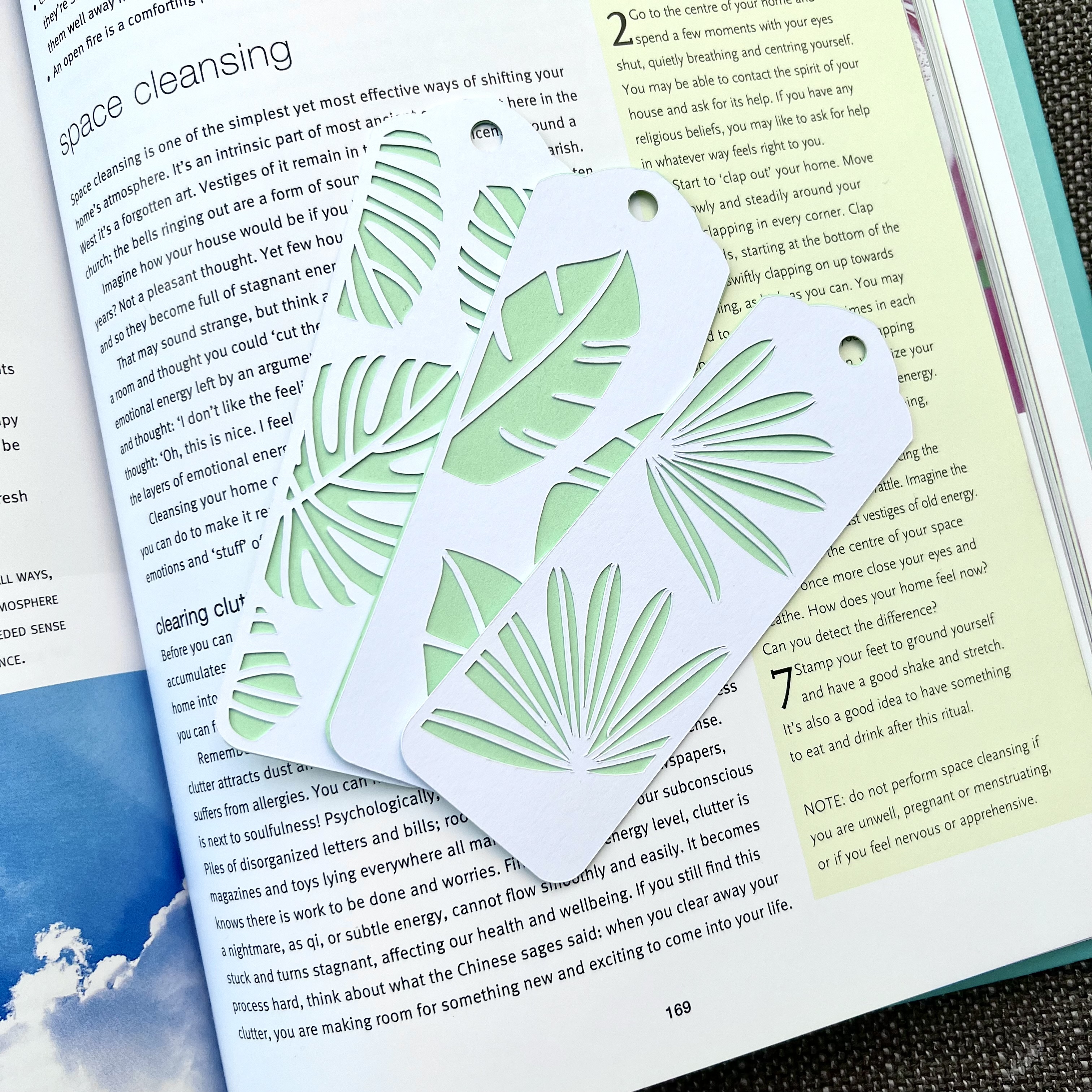 Knygų skirtukų rinkinys "Lapai"