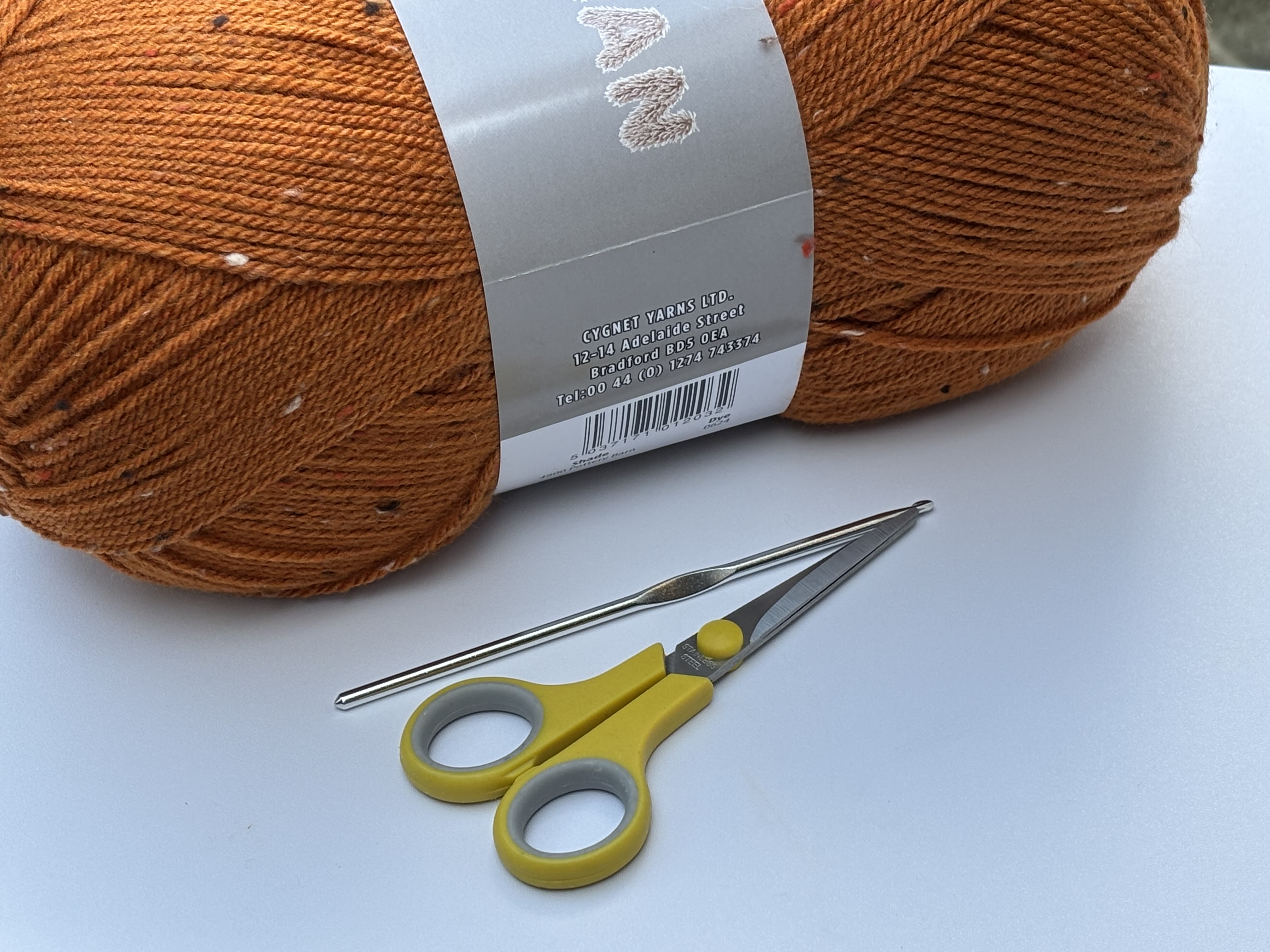 Pottery Barn  - Cygnet Woolly Aran 400g
