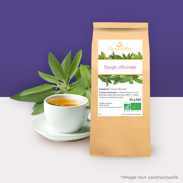 Tisane sauge officinale bio