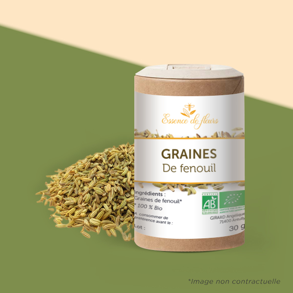 Graines de fenouil