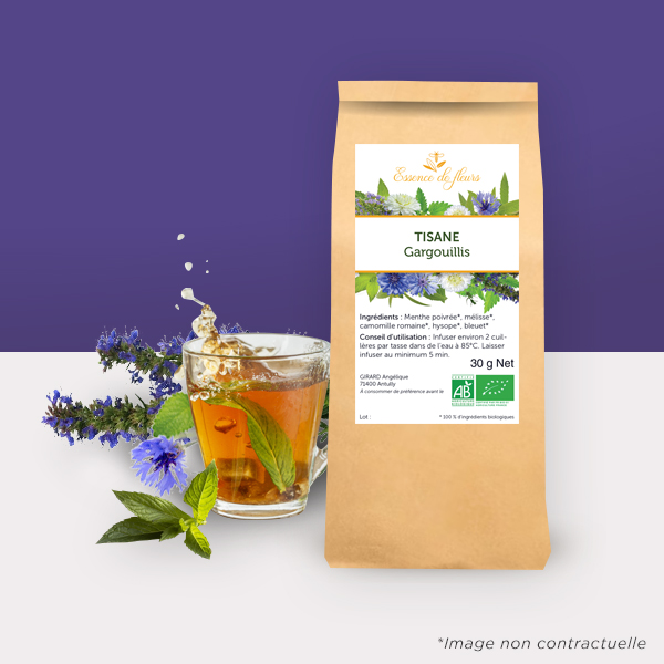 Tisane Gargouillis bio