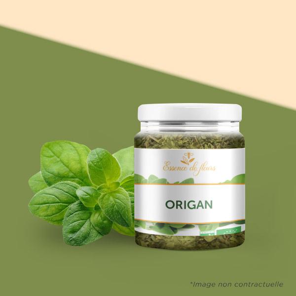 Origan