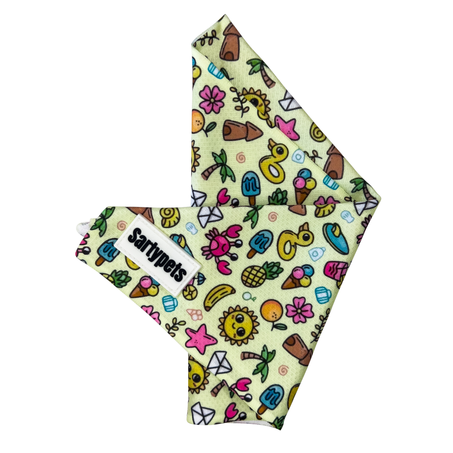 Bandana Summer
