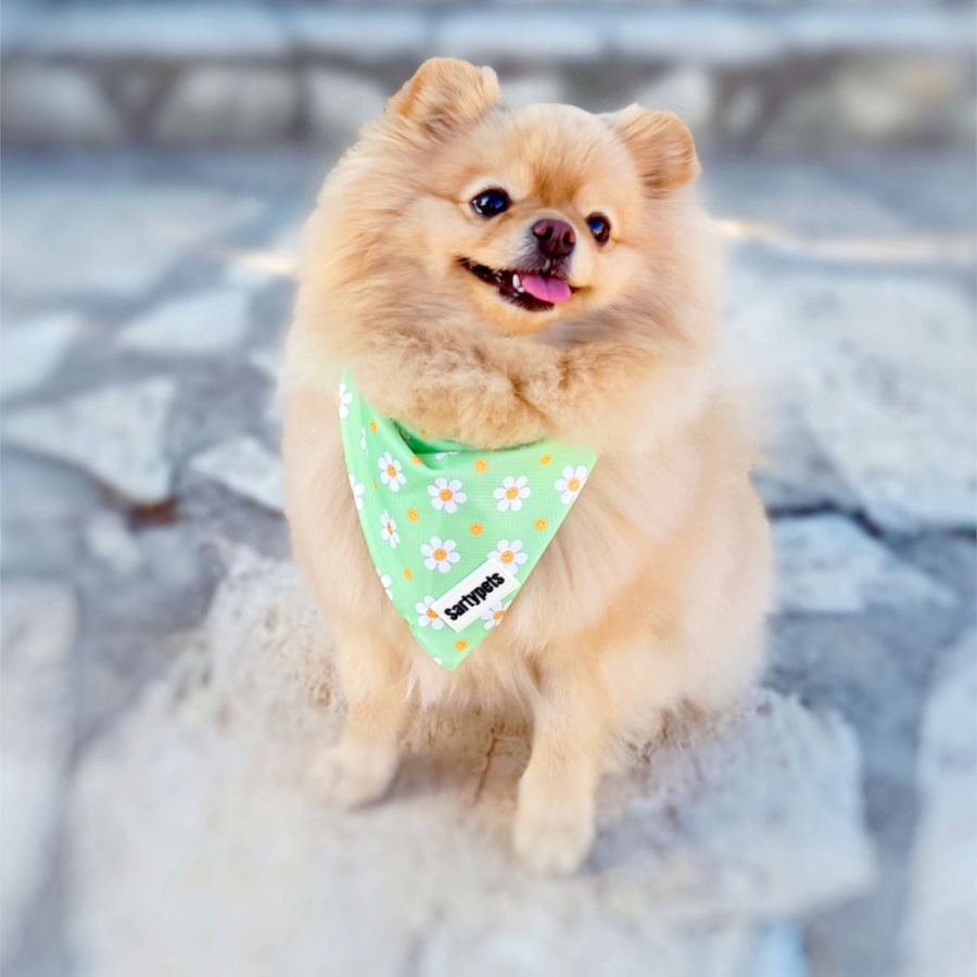 Bandana Flowers