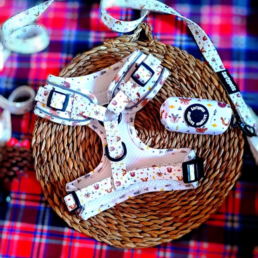 Pack 3 accesorios - Forest