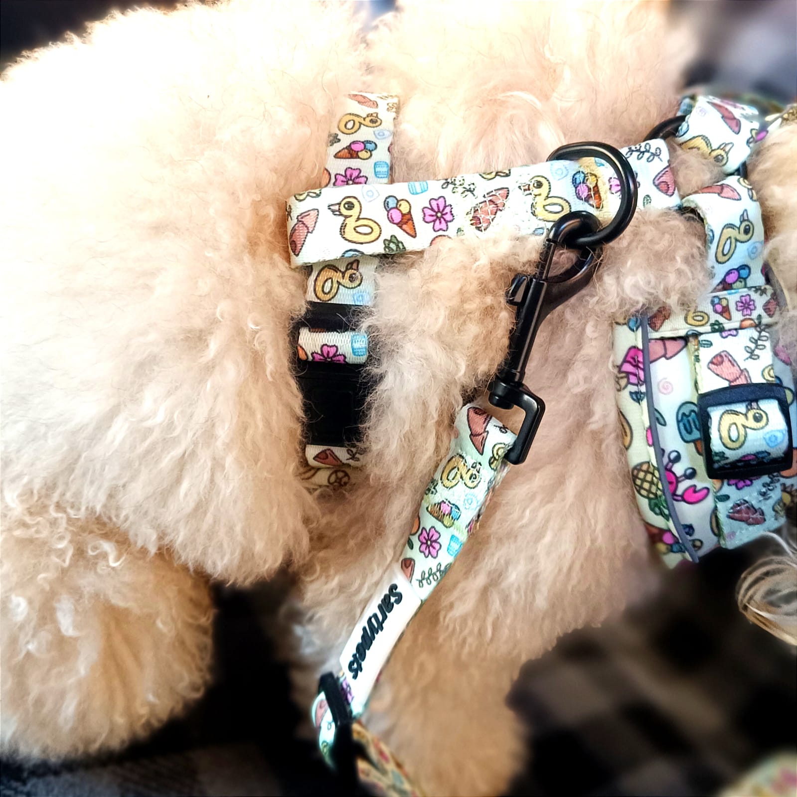 Pack 5 accesorios - Summer