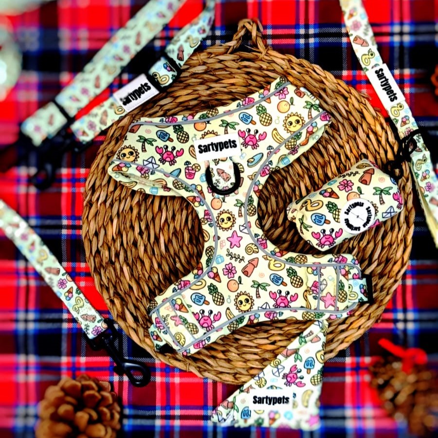 Pack 5 accesorios - Summer