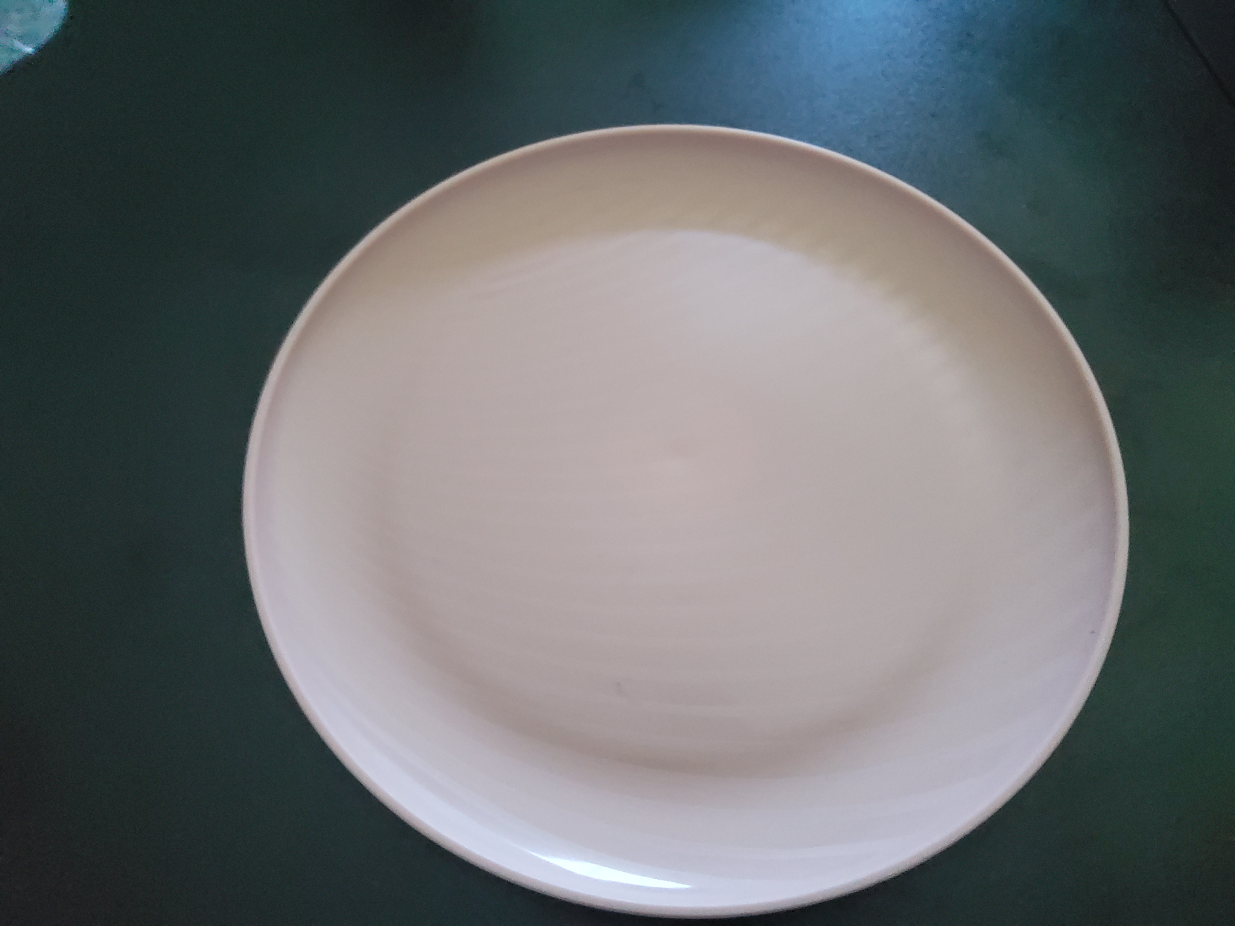 Elegant Disposable Tableware Set