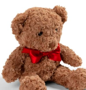 Gift Set with Plush Teddy Bear and Grooming Kit