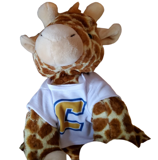 Giraffe Plush Gift Basket
