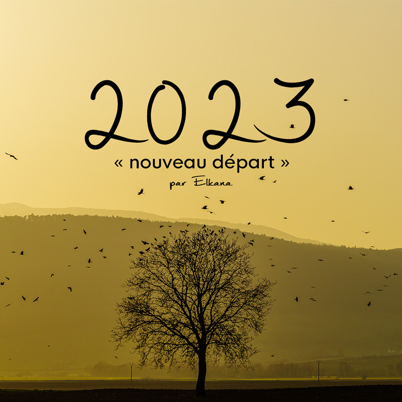 Calendrier d’art 2023