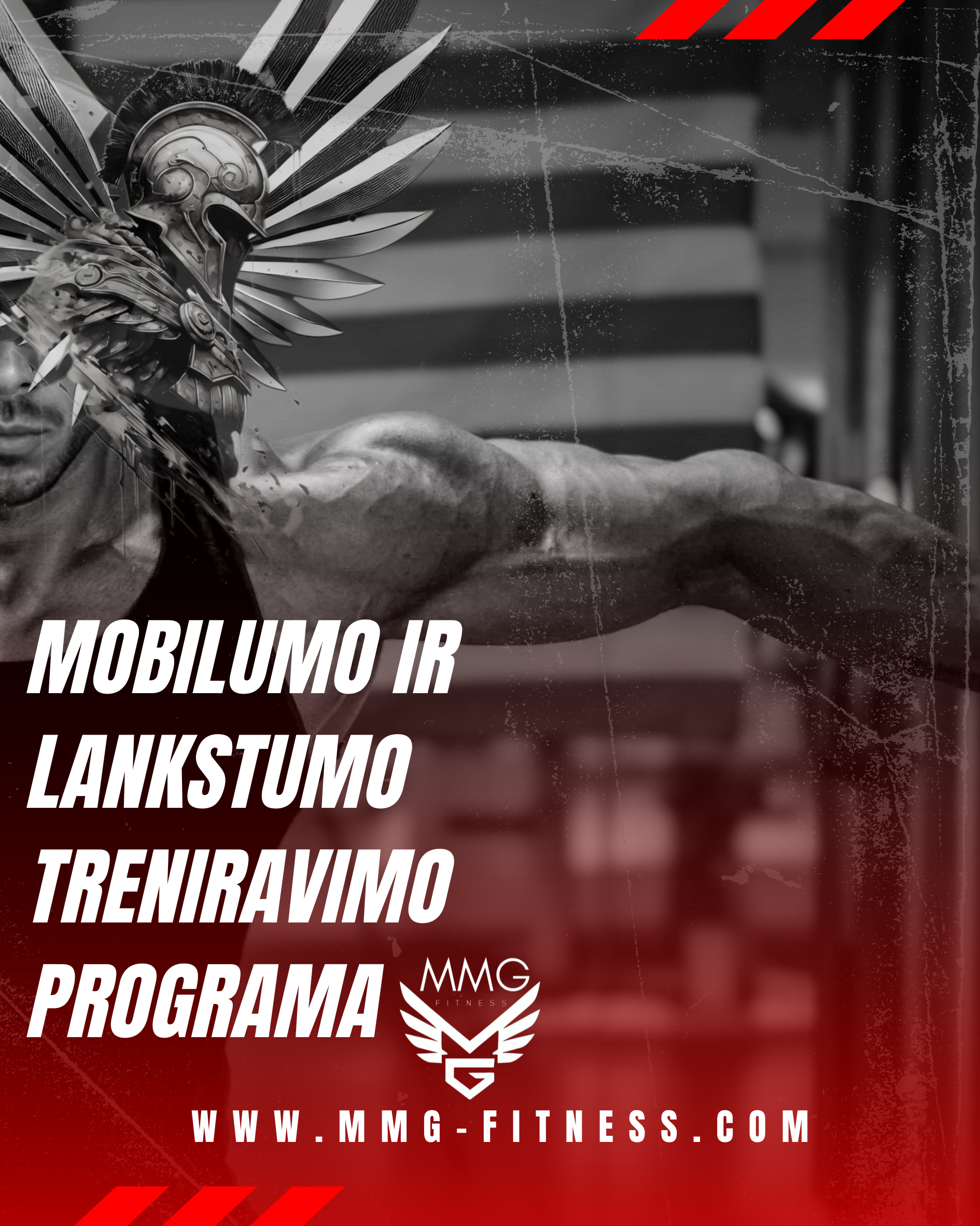 Mobilumo ir Lankstumo Treniravimo Programa