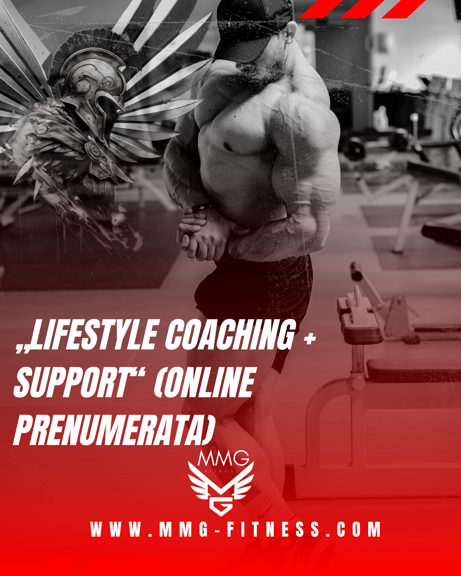 Lifestyle Coaching + Support (Online Subscription)