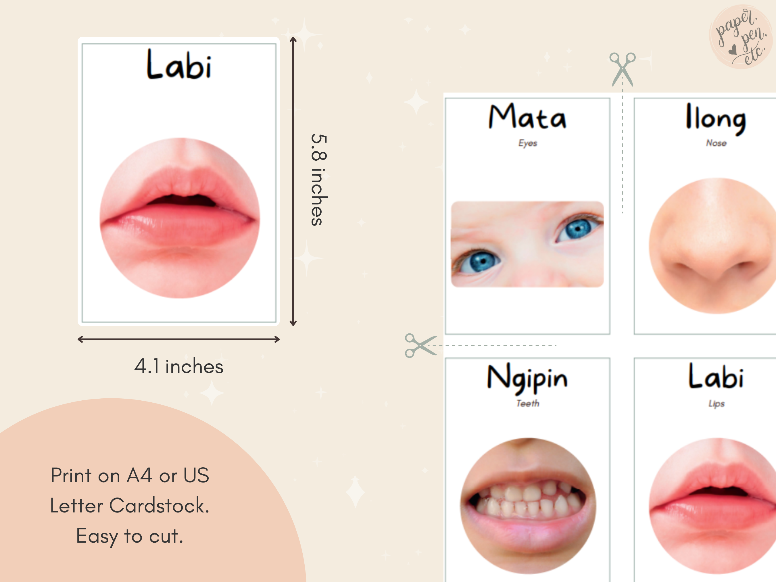 Body Parts Tagalog Flashcards