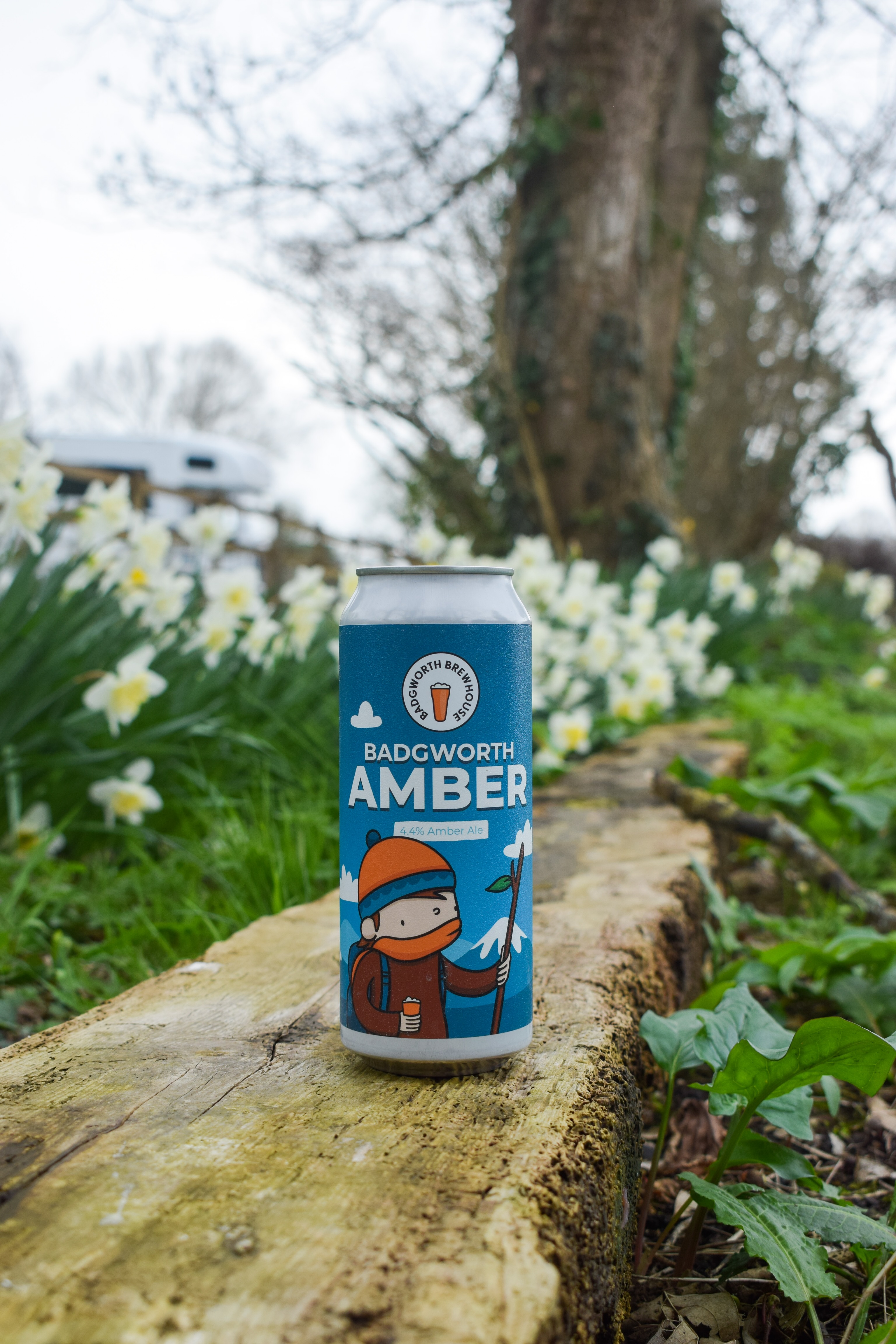Badgworth Amber 