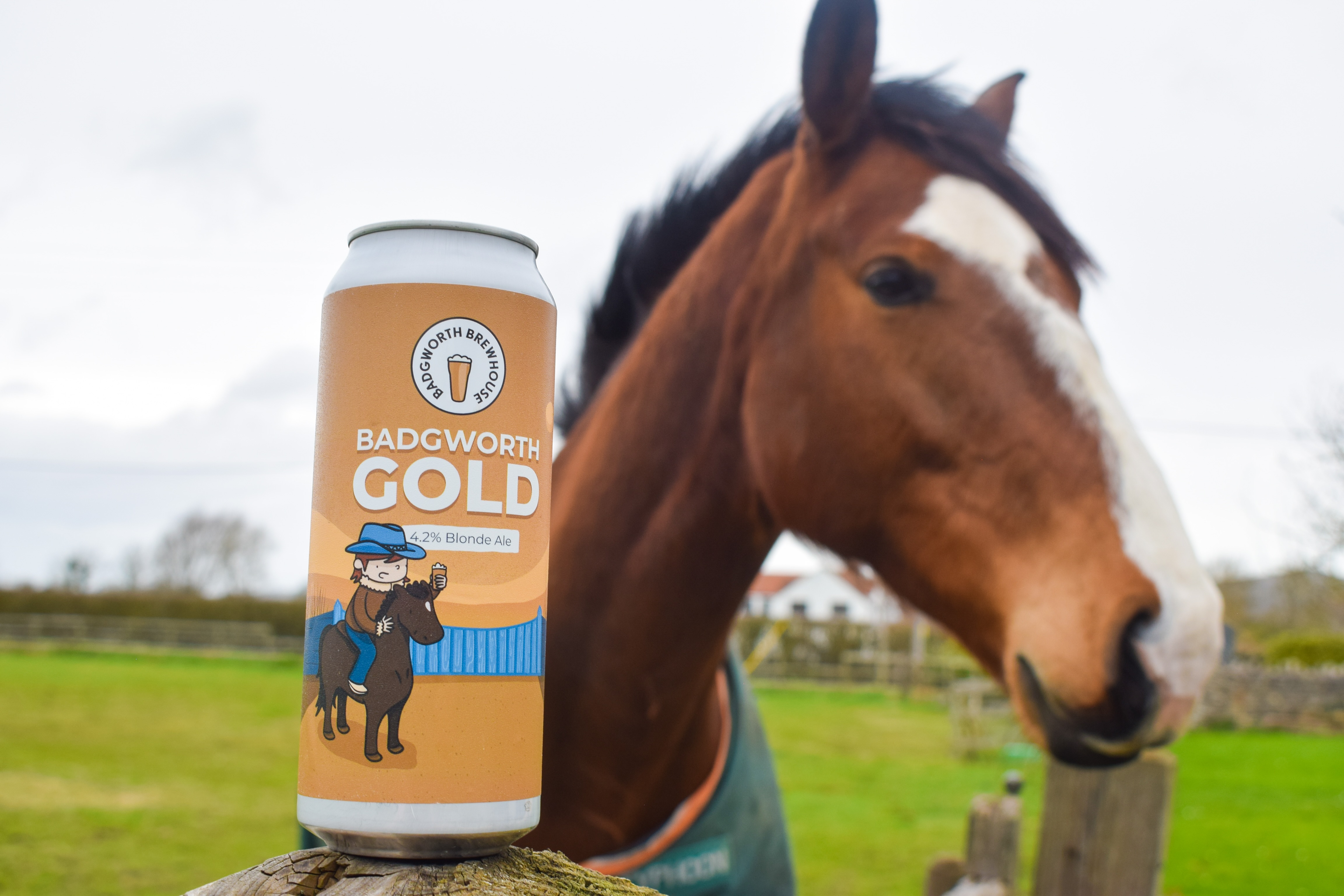 Badgworth Gold
