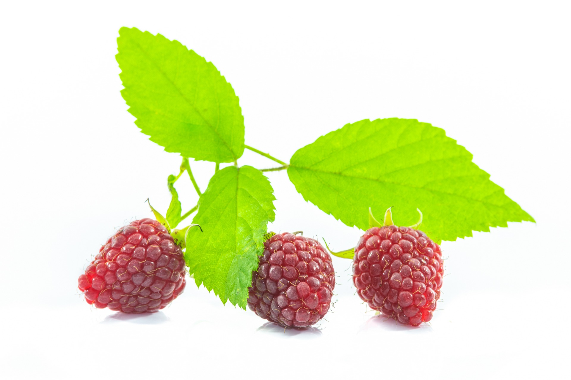 Raspberries