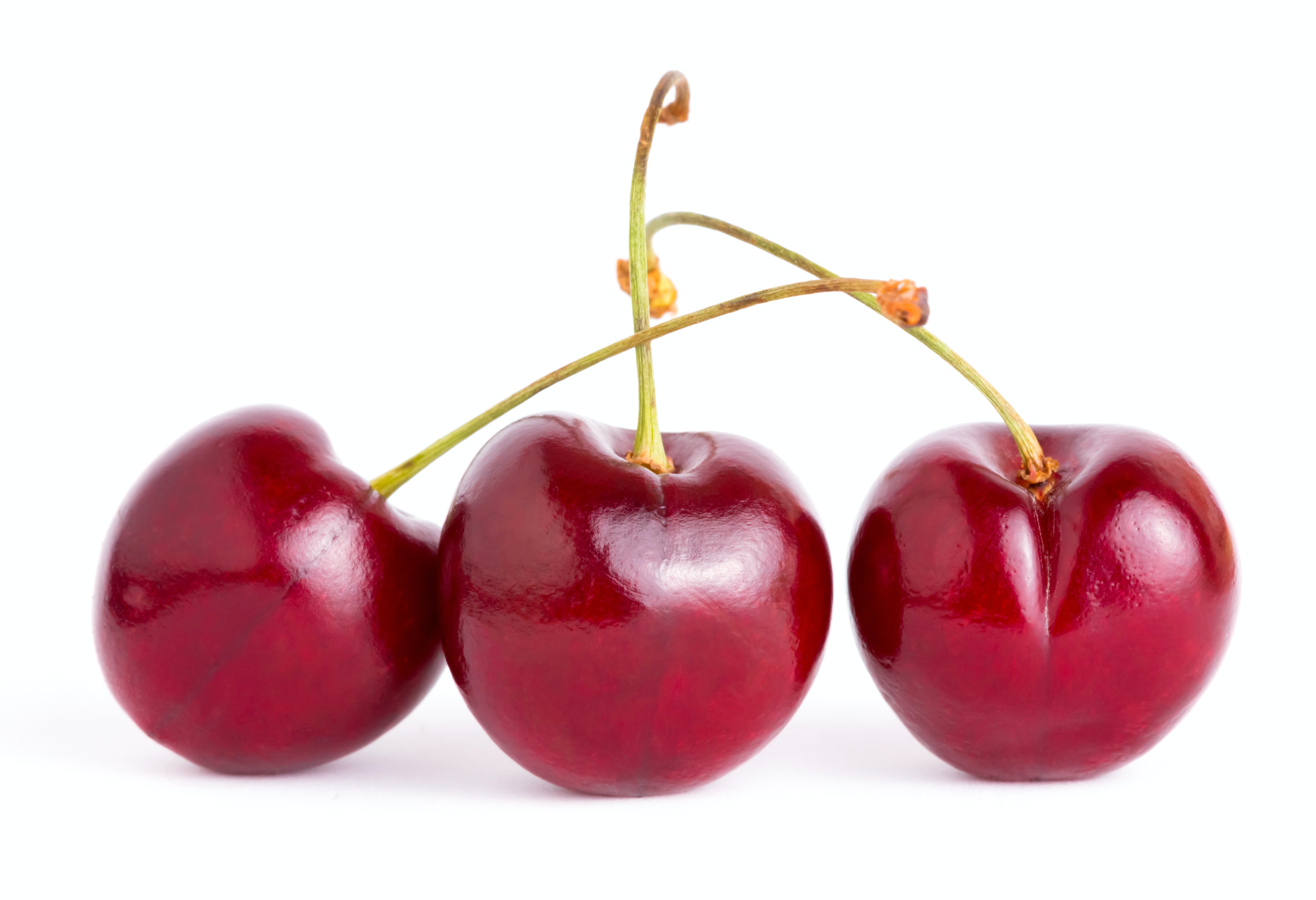 Sour Cherries