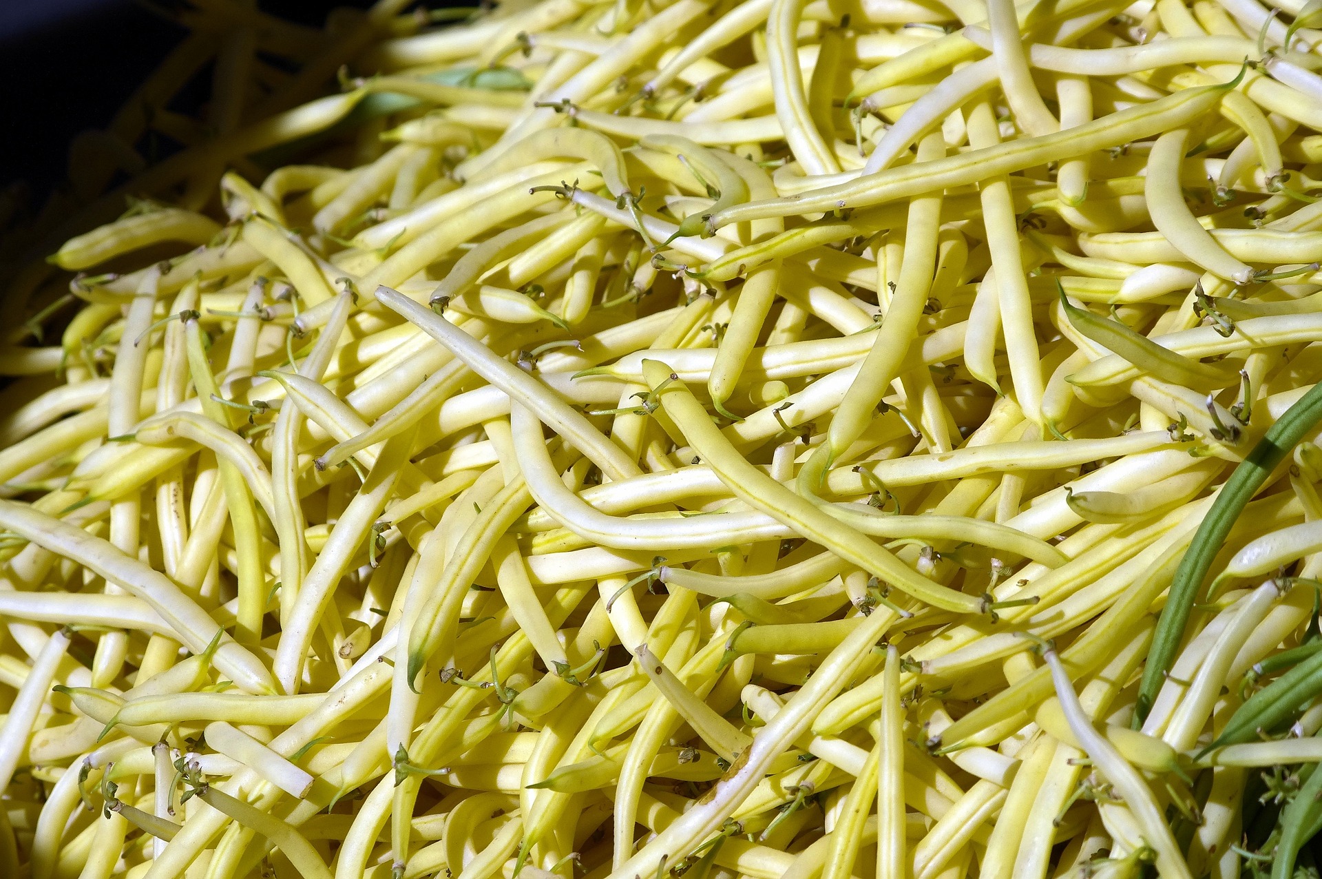 Yellow String Beans