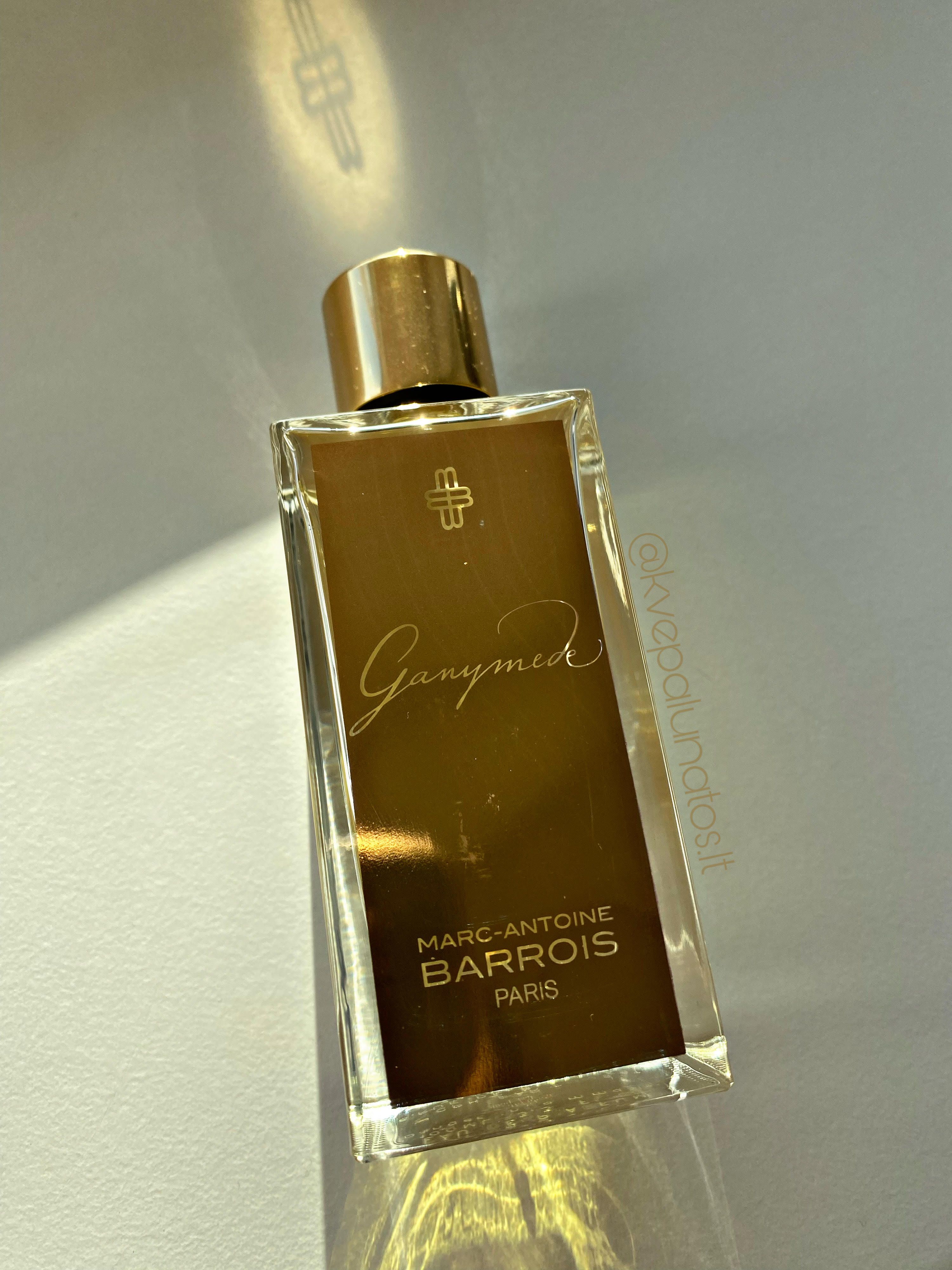 Marc-Antoine Barrois Ganymede EDP
