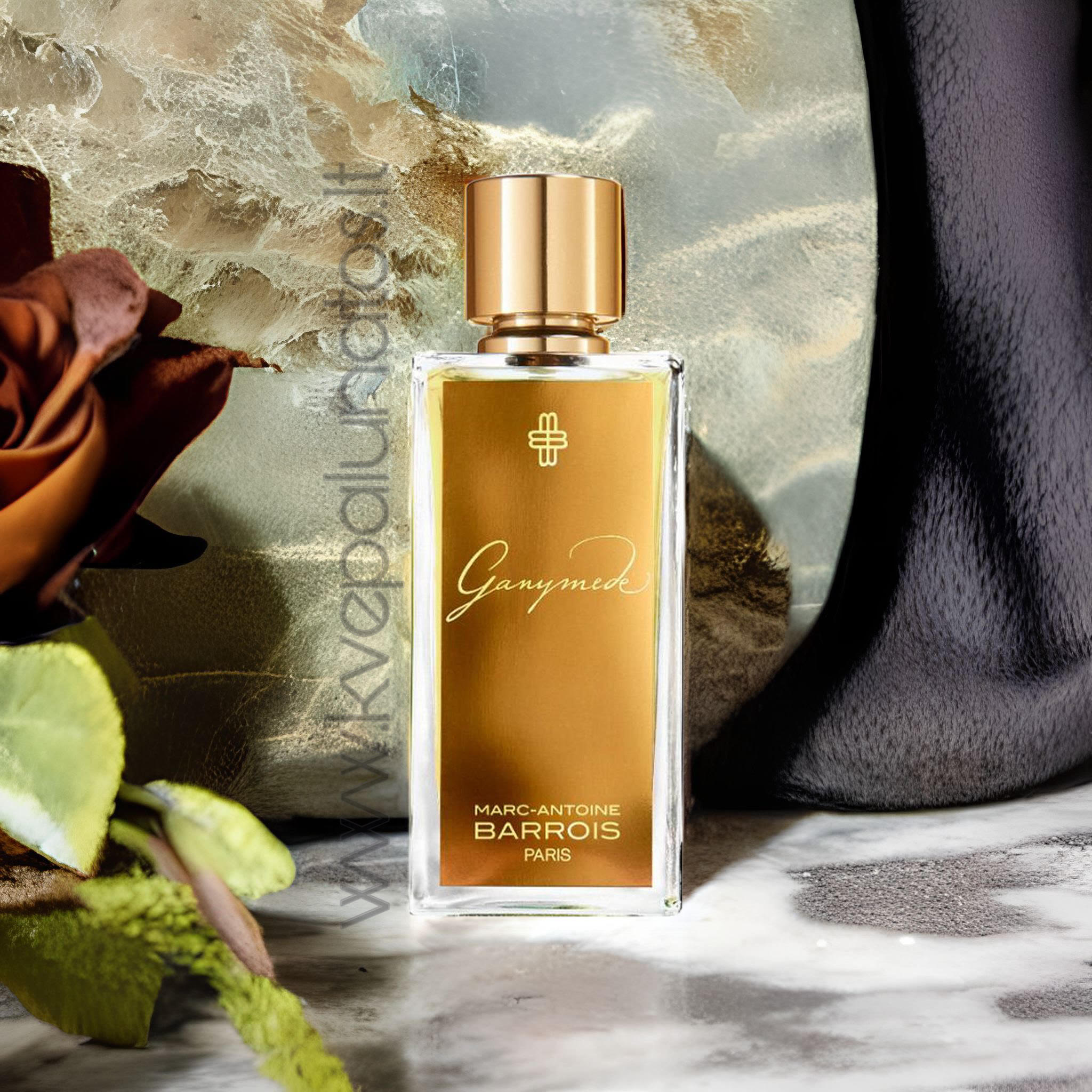Marc-Antoine Barrois Ganymede EDP