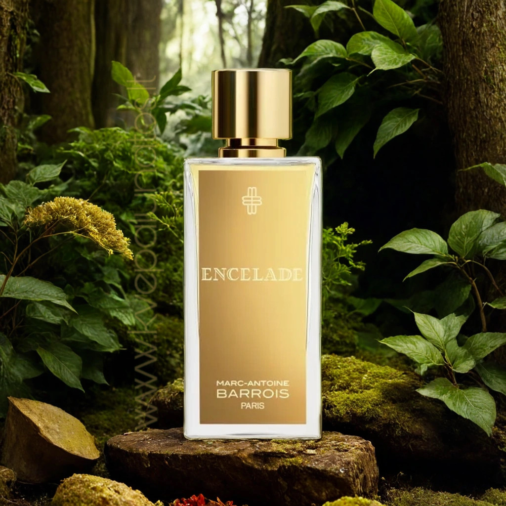 Marc-Antoine Barrois Encelade EDP