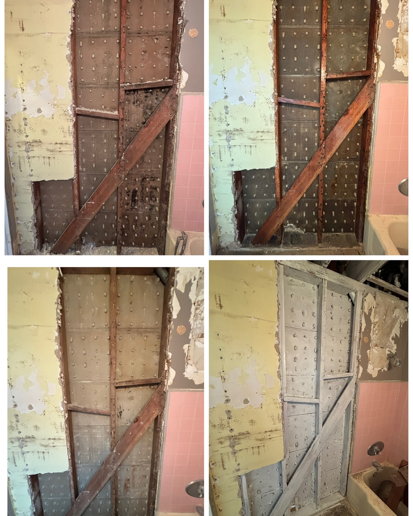 Water Damage & Mold Services