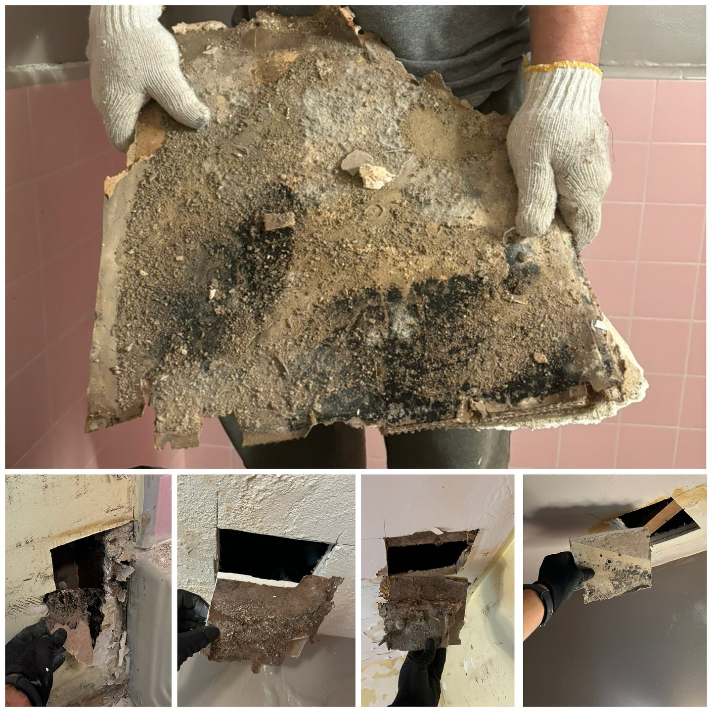 Water Damage & Mold Services