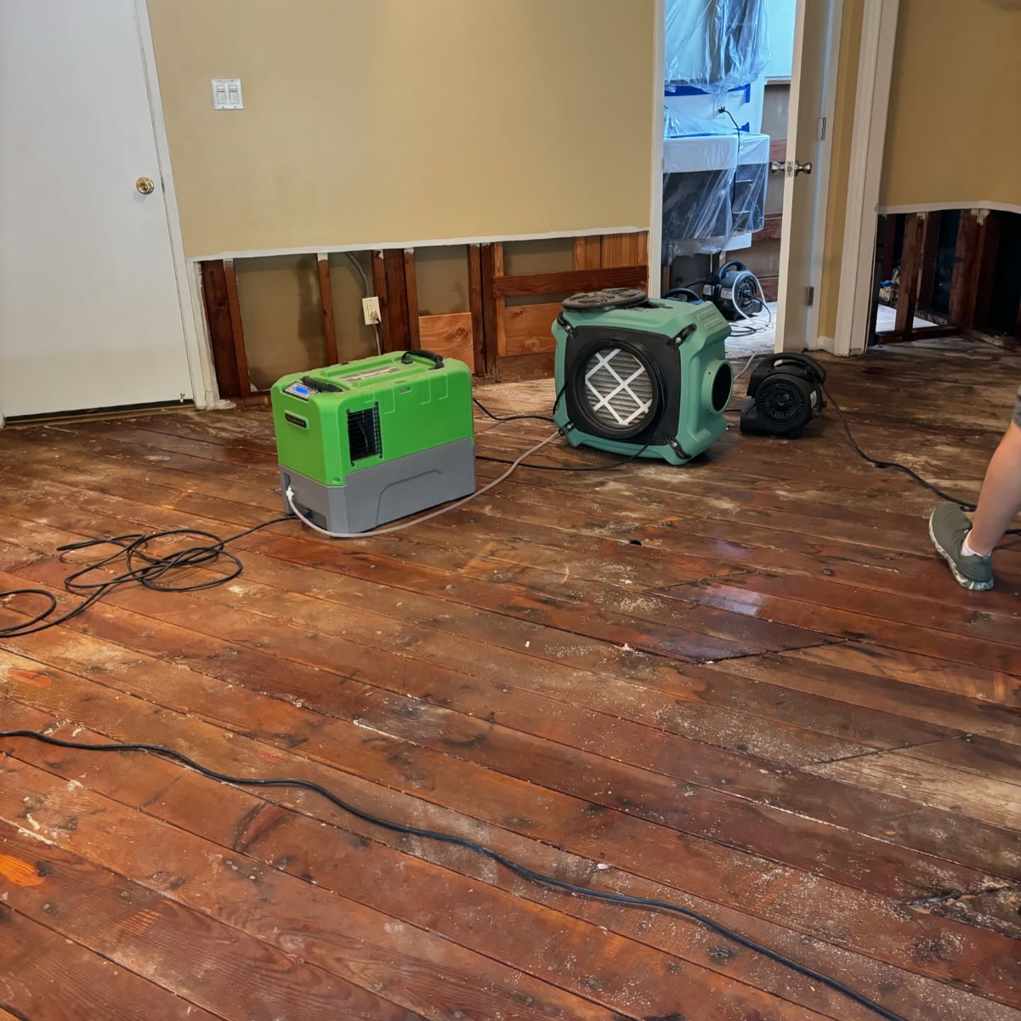 Water Damage & Mold Services