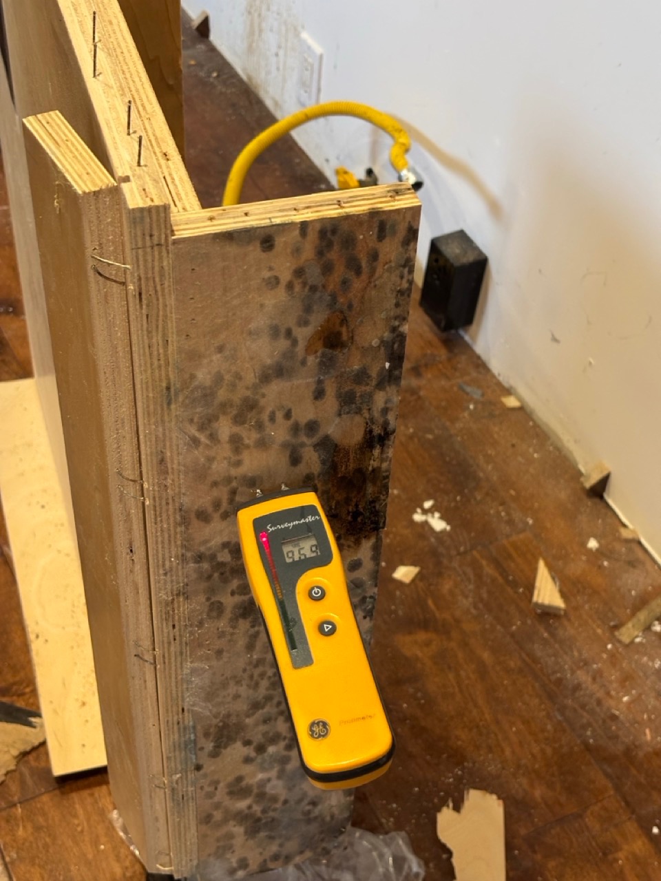 Water Damage & Mold Services