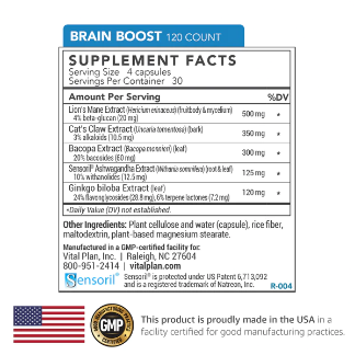 Brain Boost