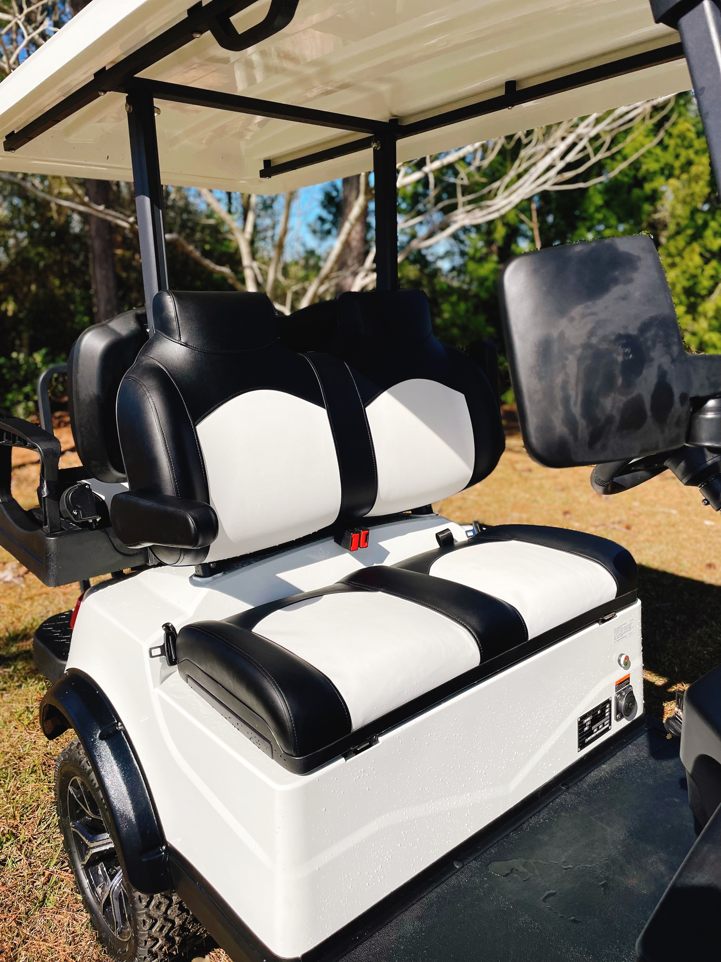 2023 Royal EV Ambassador 4L Lithium 
