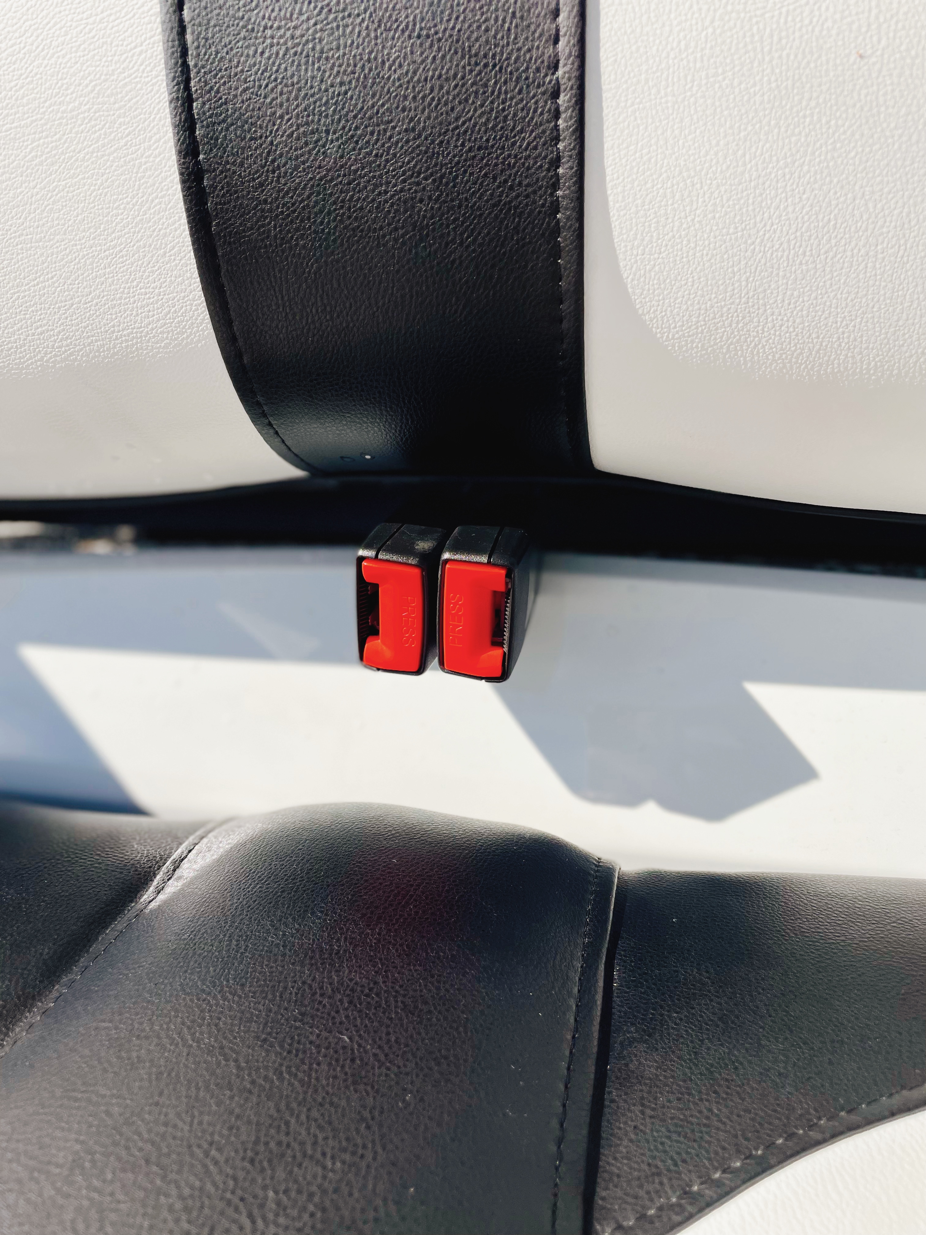 2023 Royal EV Ambassador 4L Lithium 