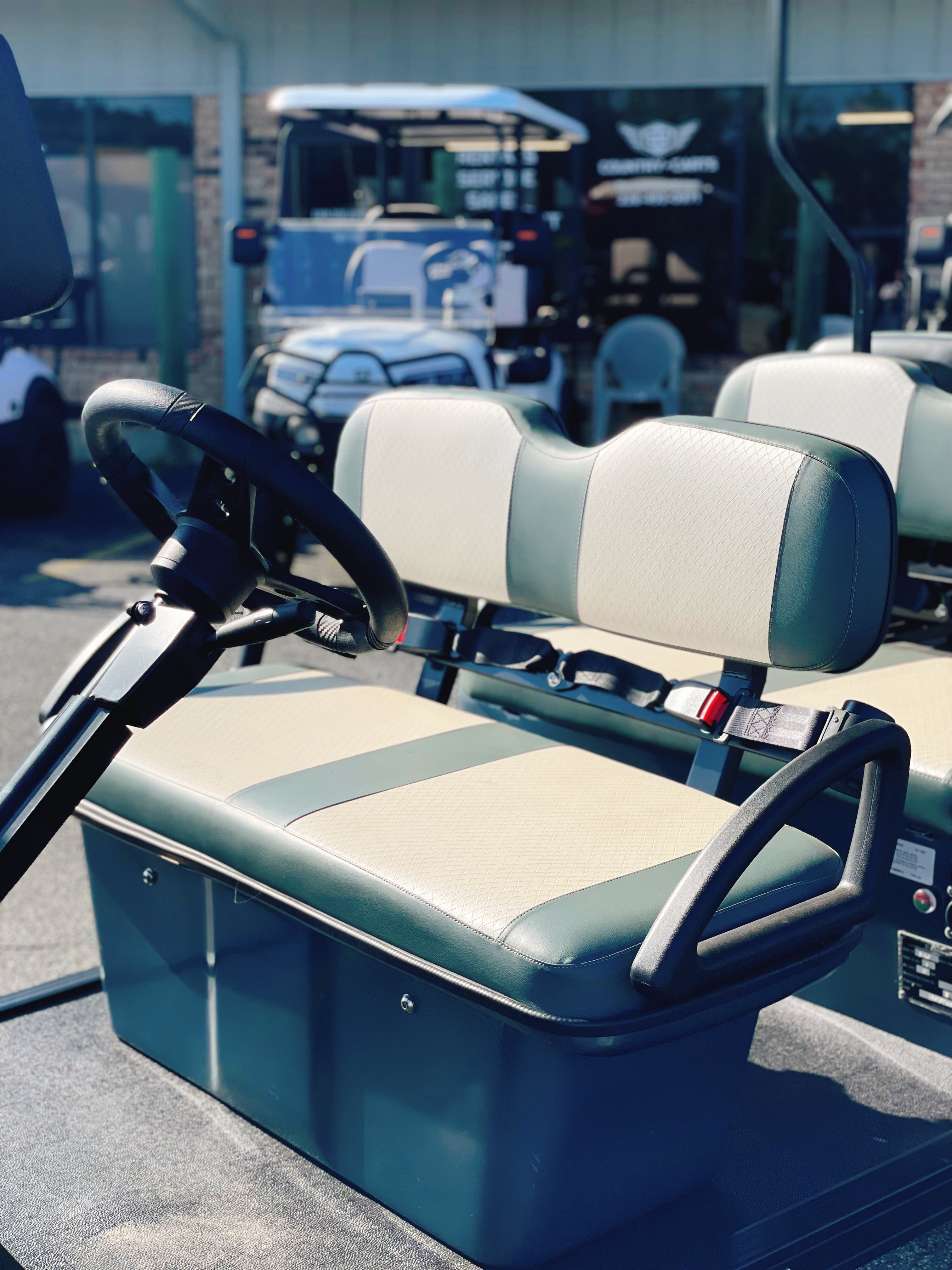 Royal EV Monarch 6 Seater Lithium Lifted