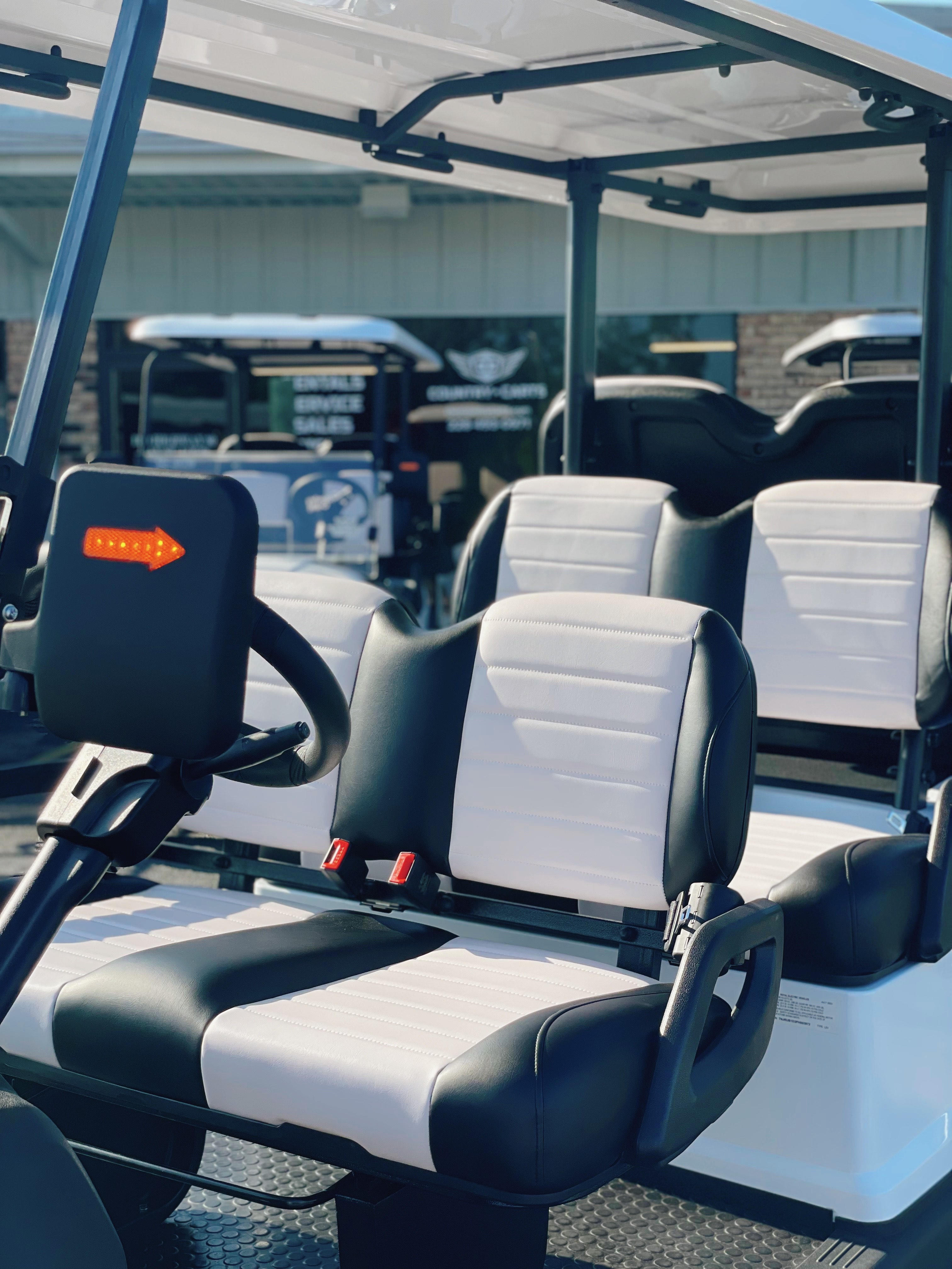 2023 Royal EV Crown 6L 72V Lithium