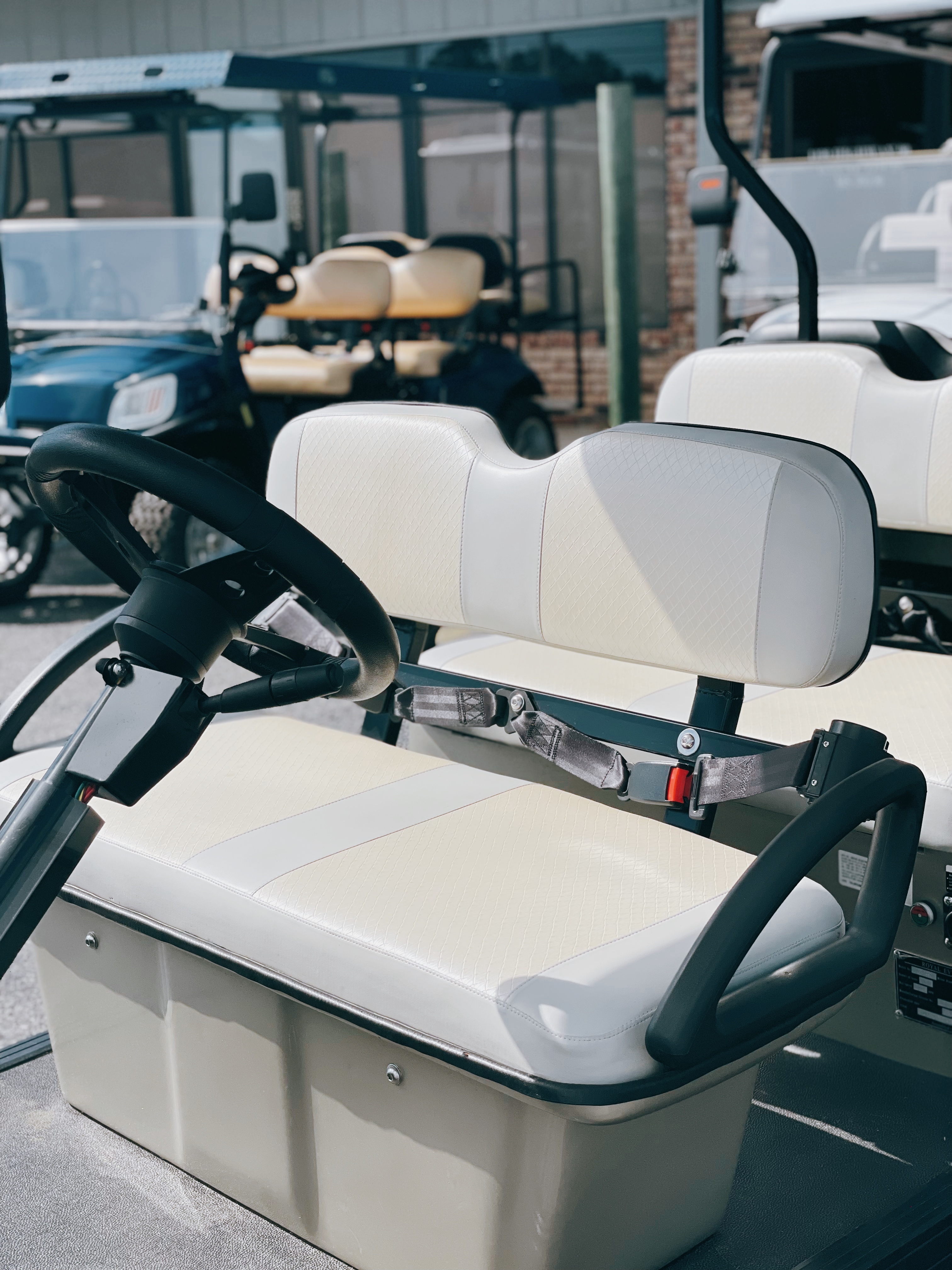 2022 Royal EV Monarch 6 Seater Lithium
