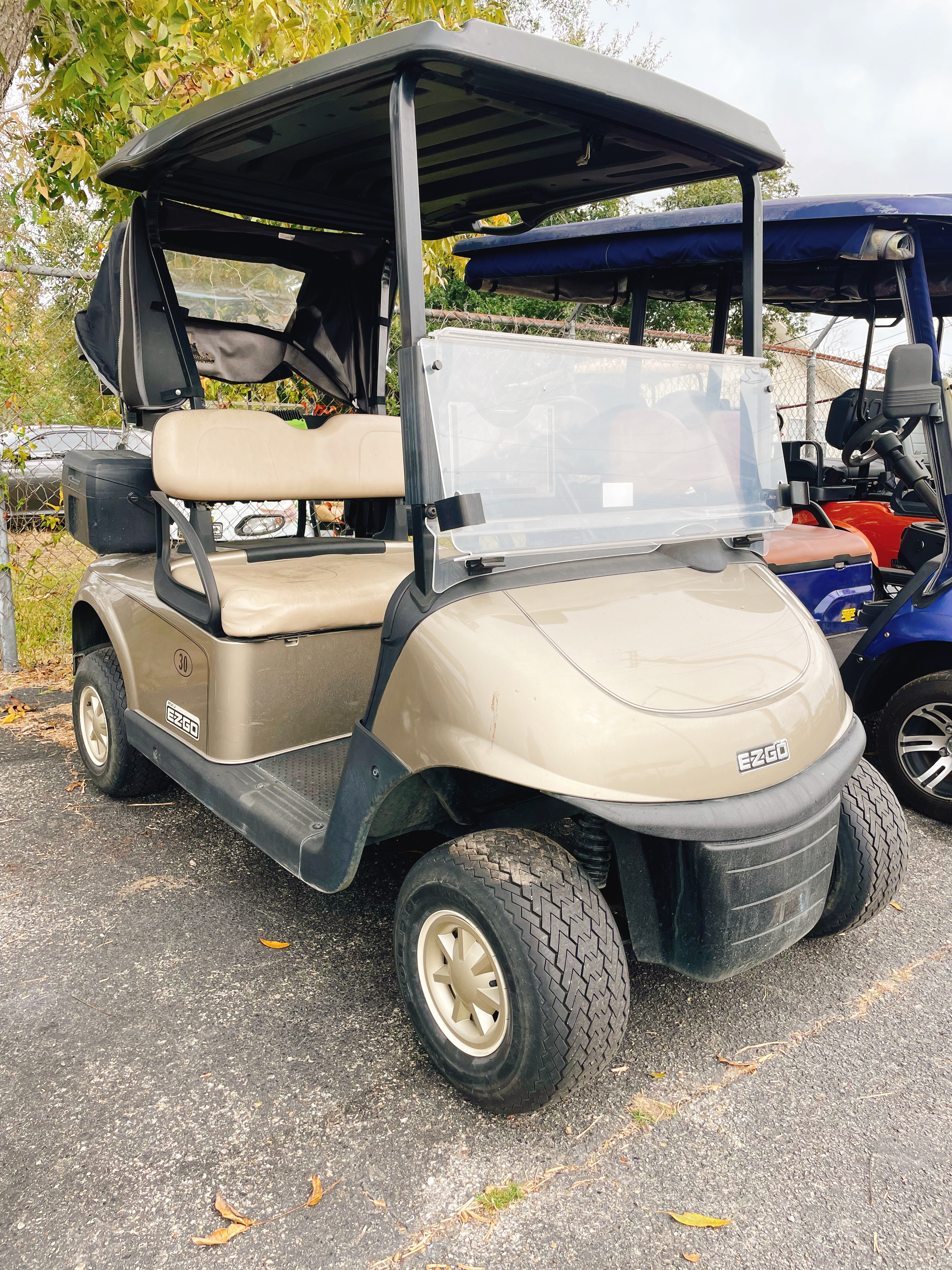 2018 EZ GO RXV Lithium 2 Seater 