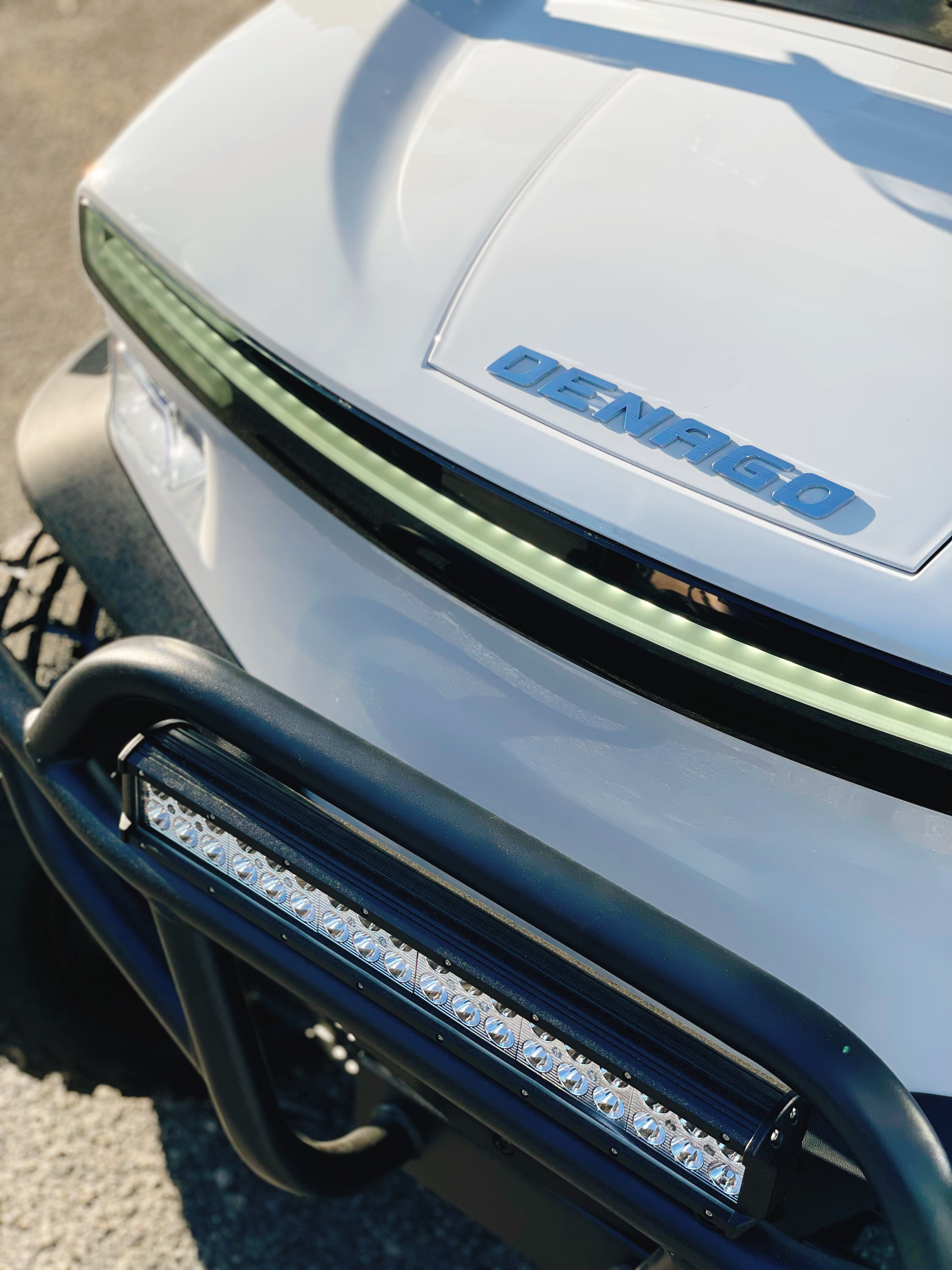2025 Denago EV Rover 4