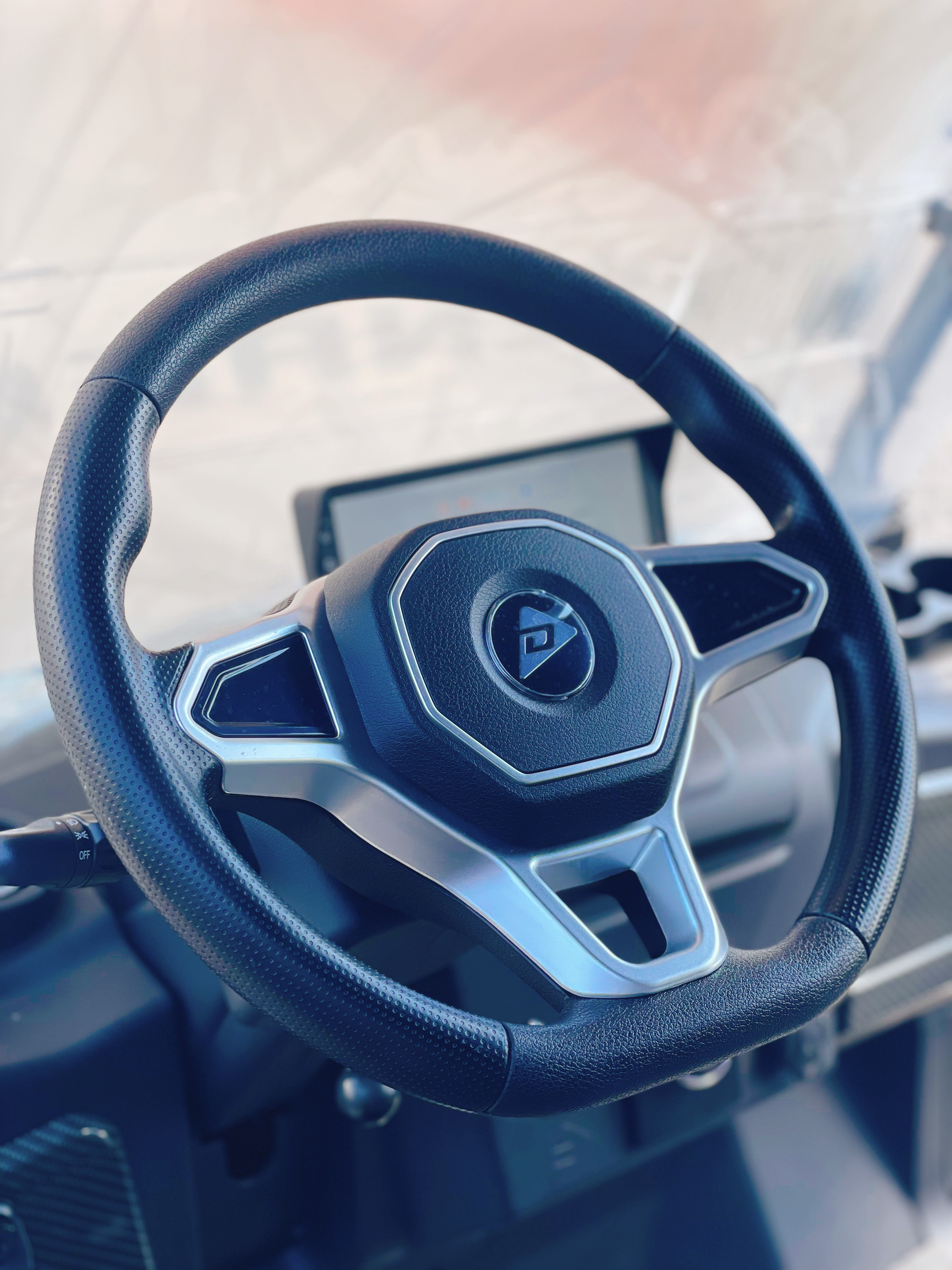 2025 Denago EV Rover 4