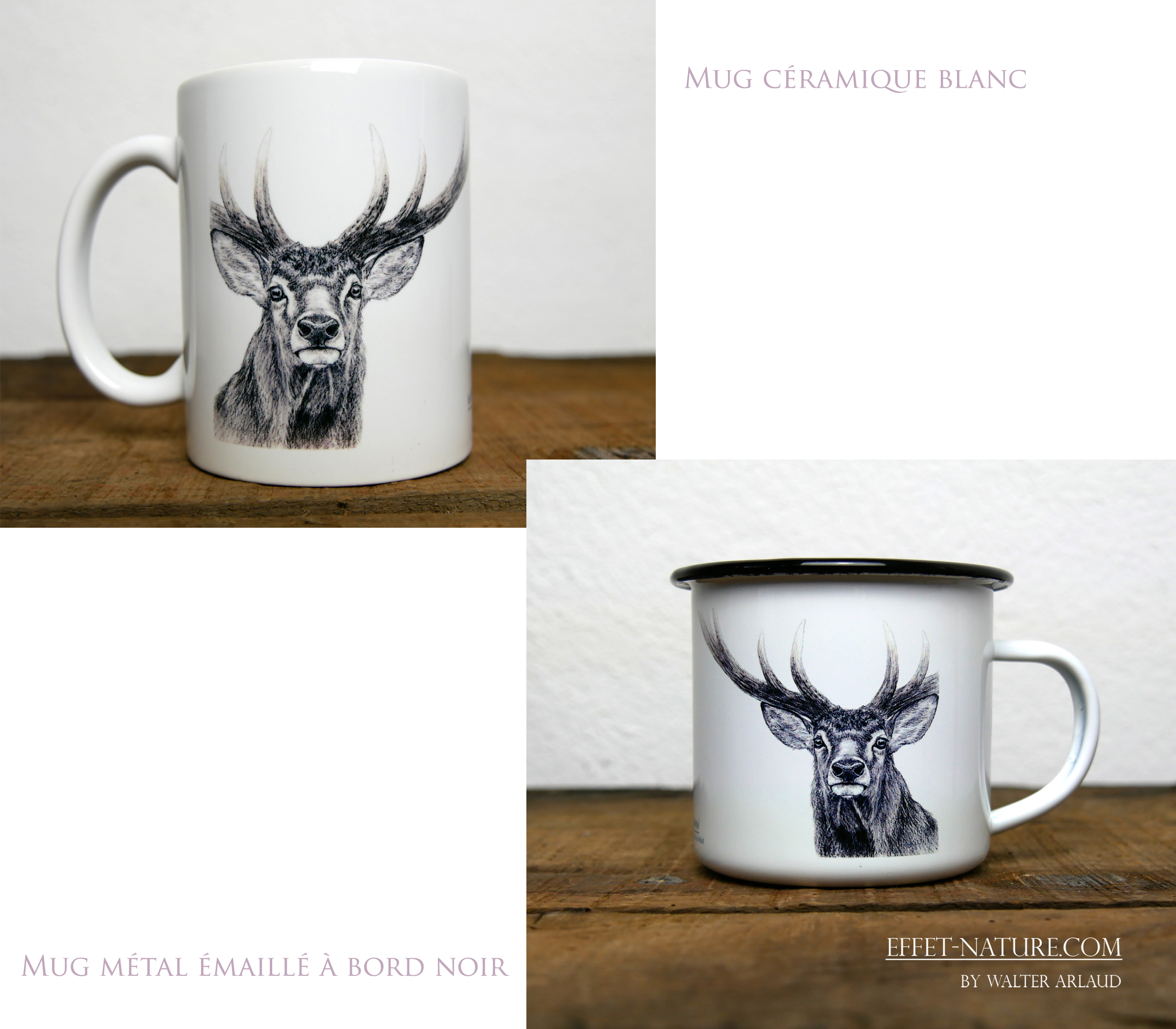Regards sauvages "Le cerf"