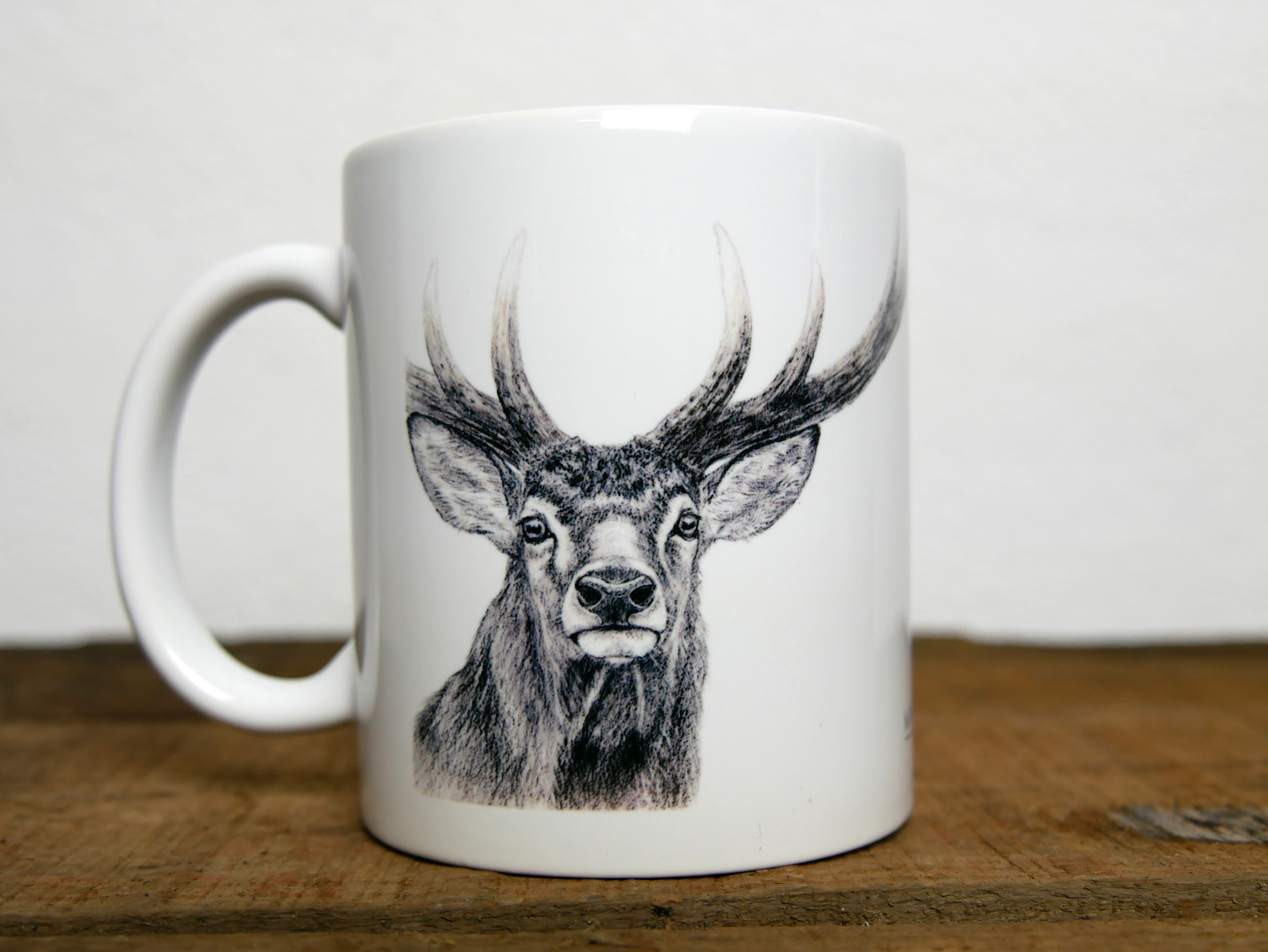 Regards sauvages "Le cerf"